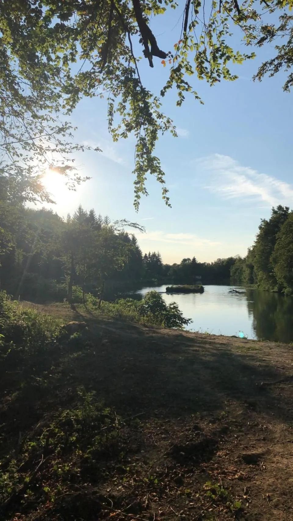Natural landscape in Chateau de Bonnevaux
