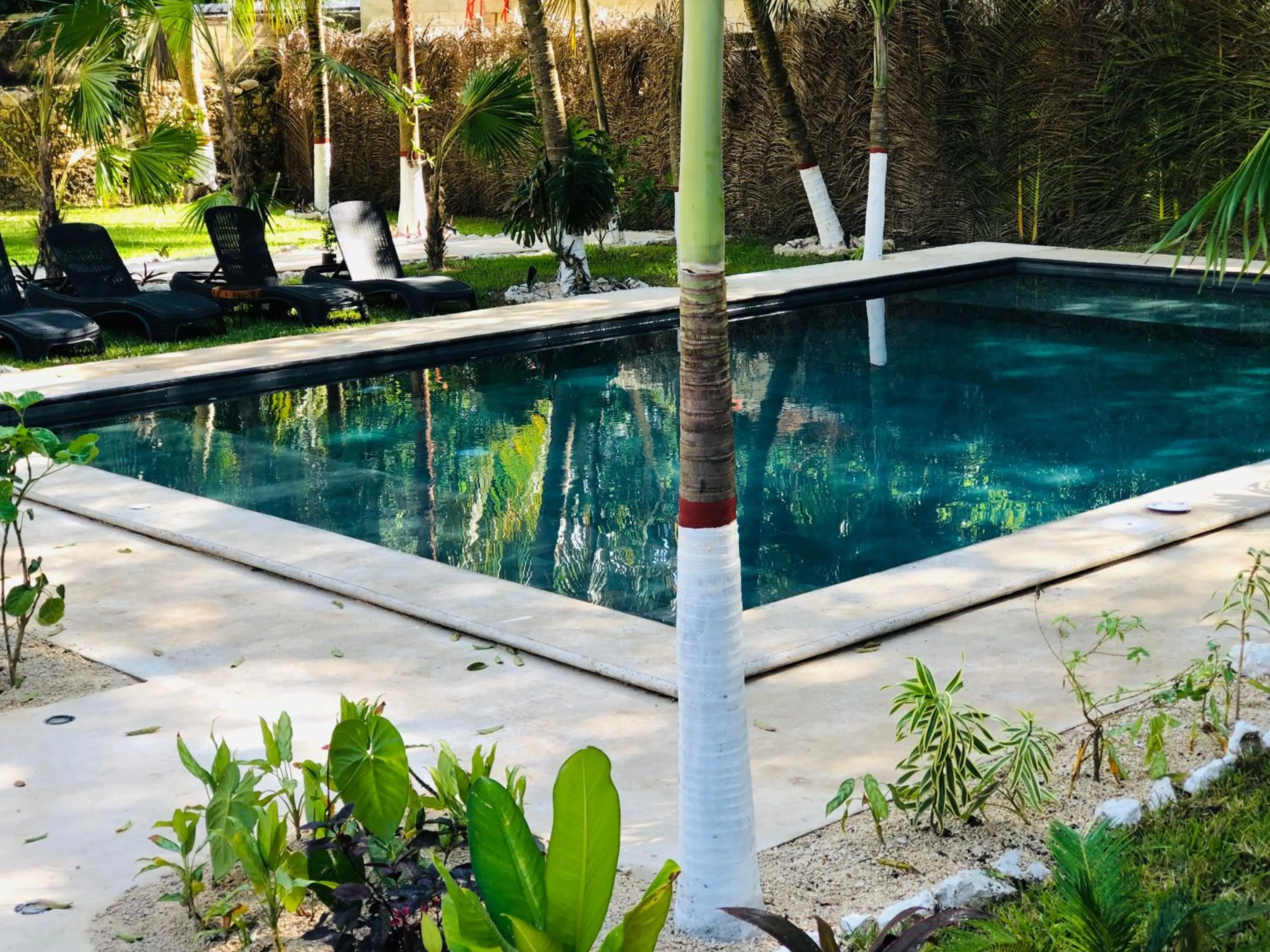 Swimming pool in Tierra Maya Hotel Spa & Sanctuary