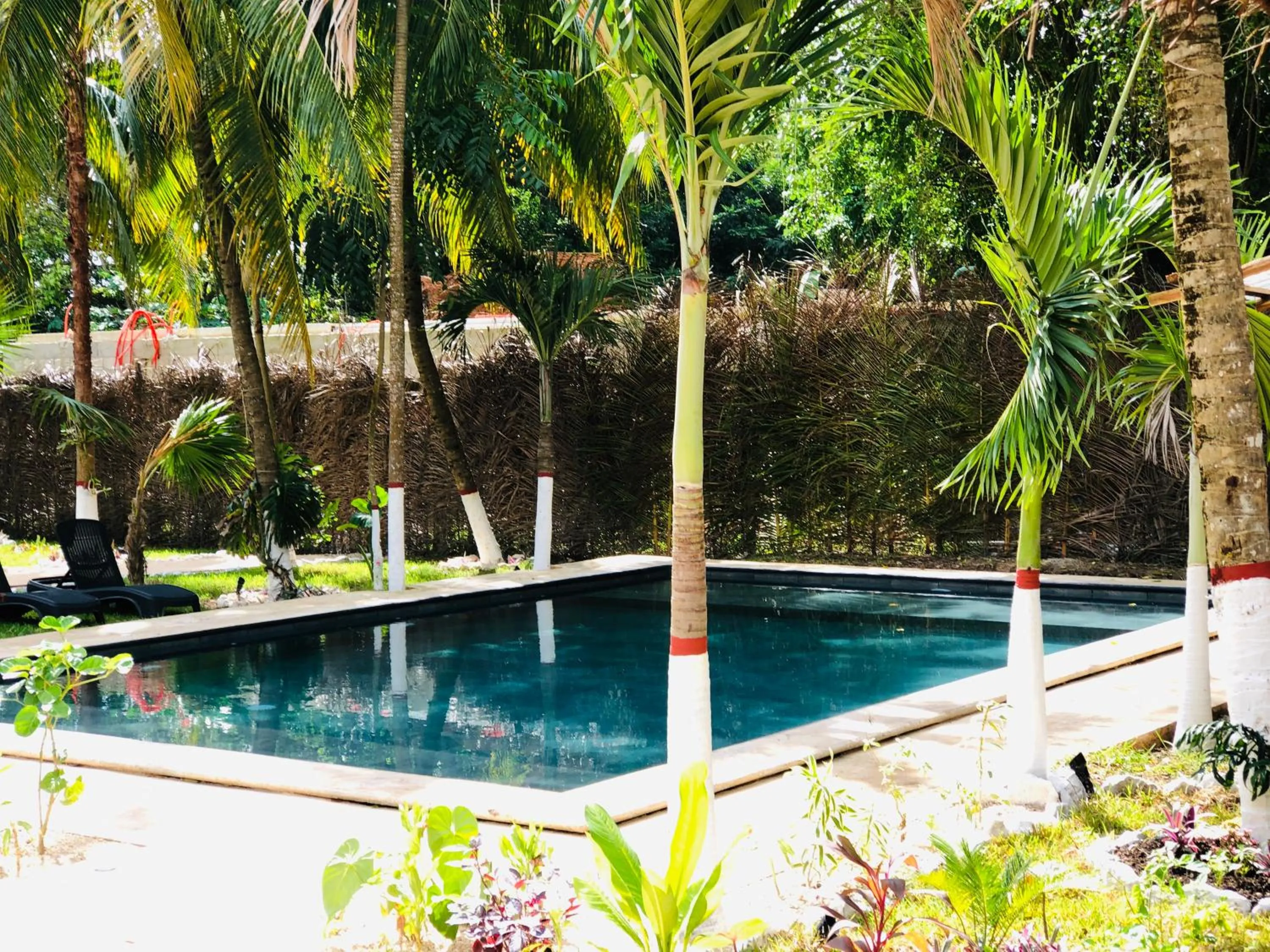 Swimming pool in Tierra Maya Hotel Spa & Sanctuary