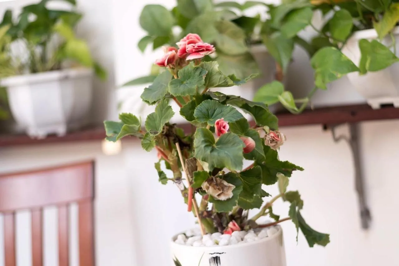 Property building in Miss Ten Homestay