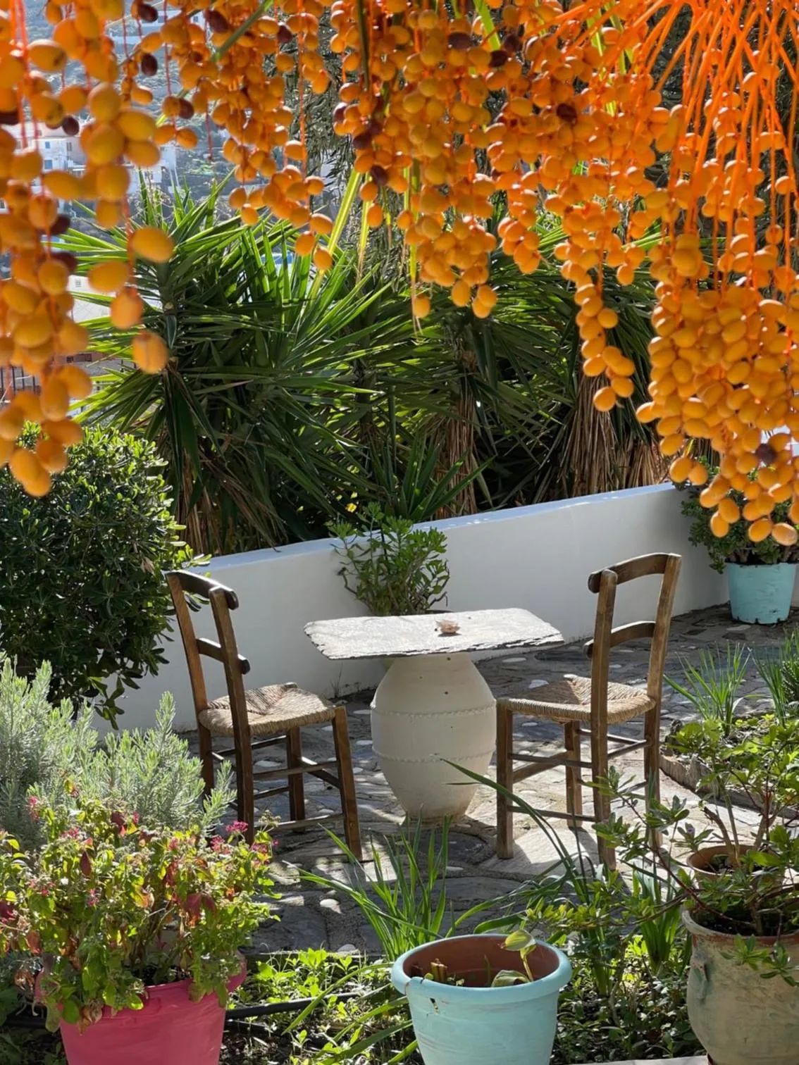 Property building in Patras Apartments