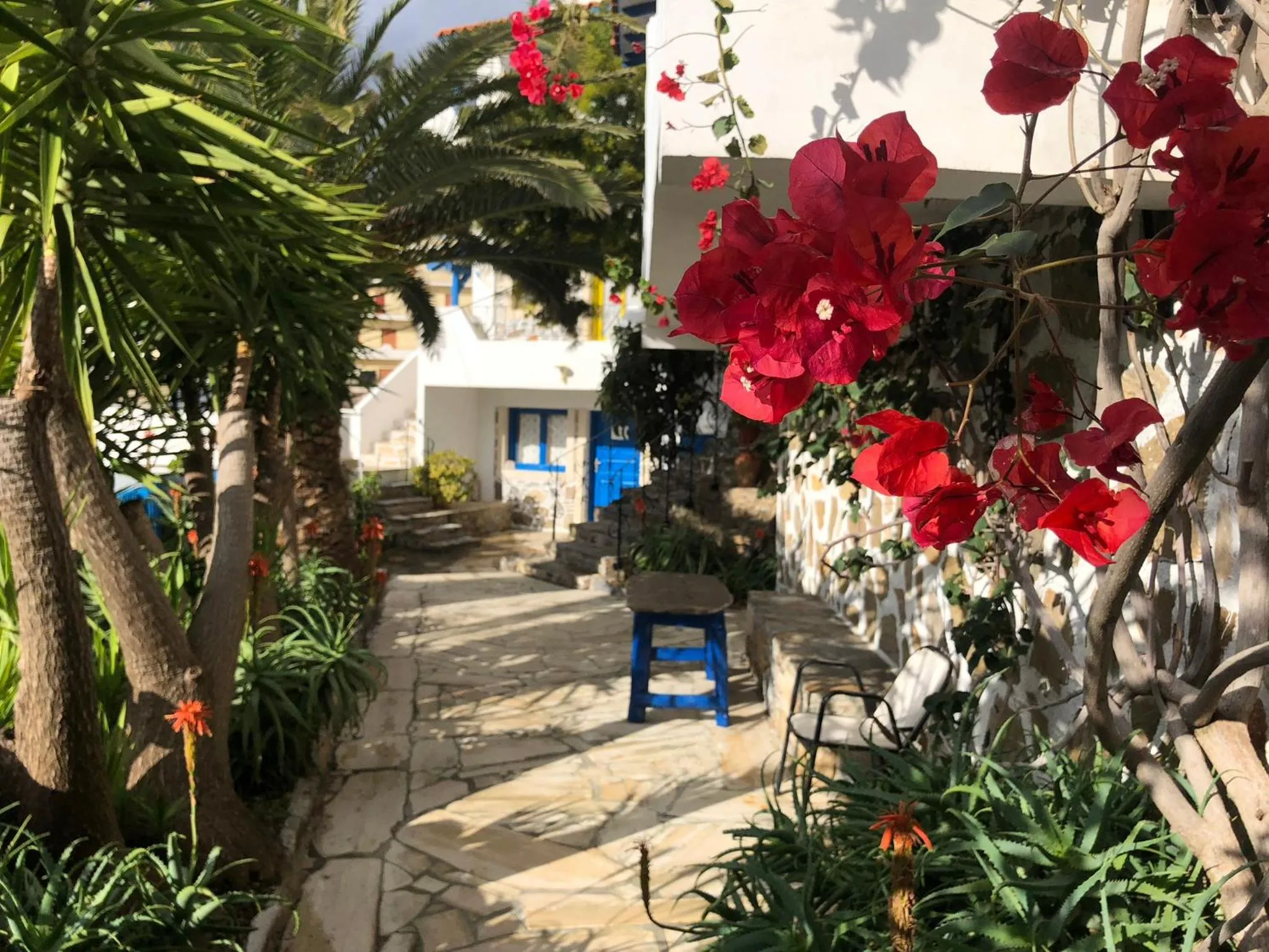 Property building in Patras Apartments