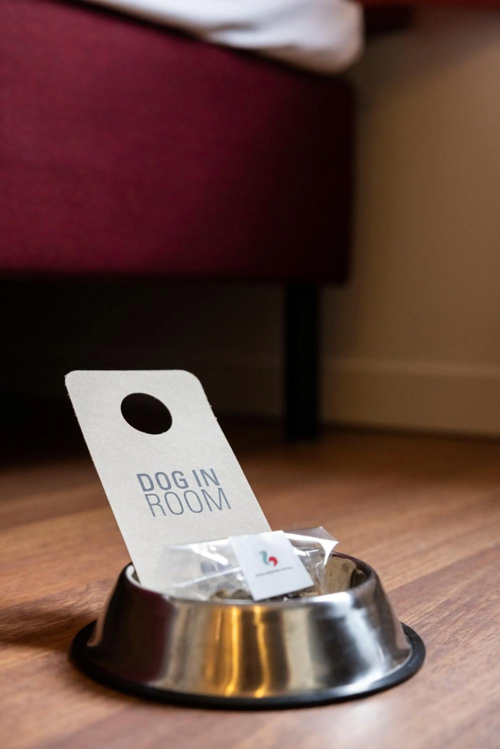 pet friendly in Good Morning Lund