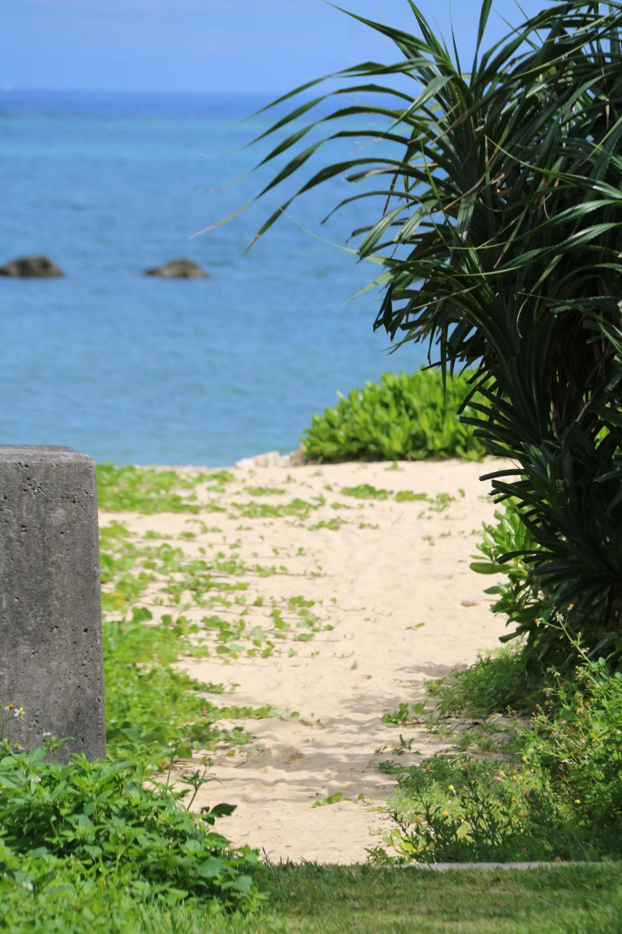 T&T MOF-Maeda Ocean Front House-