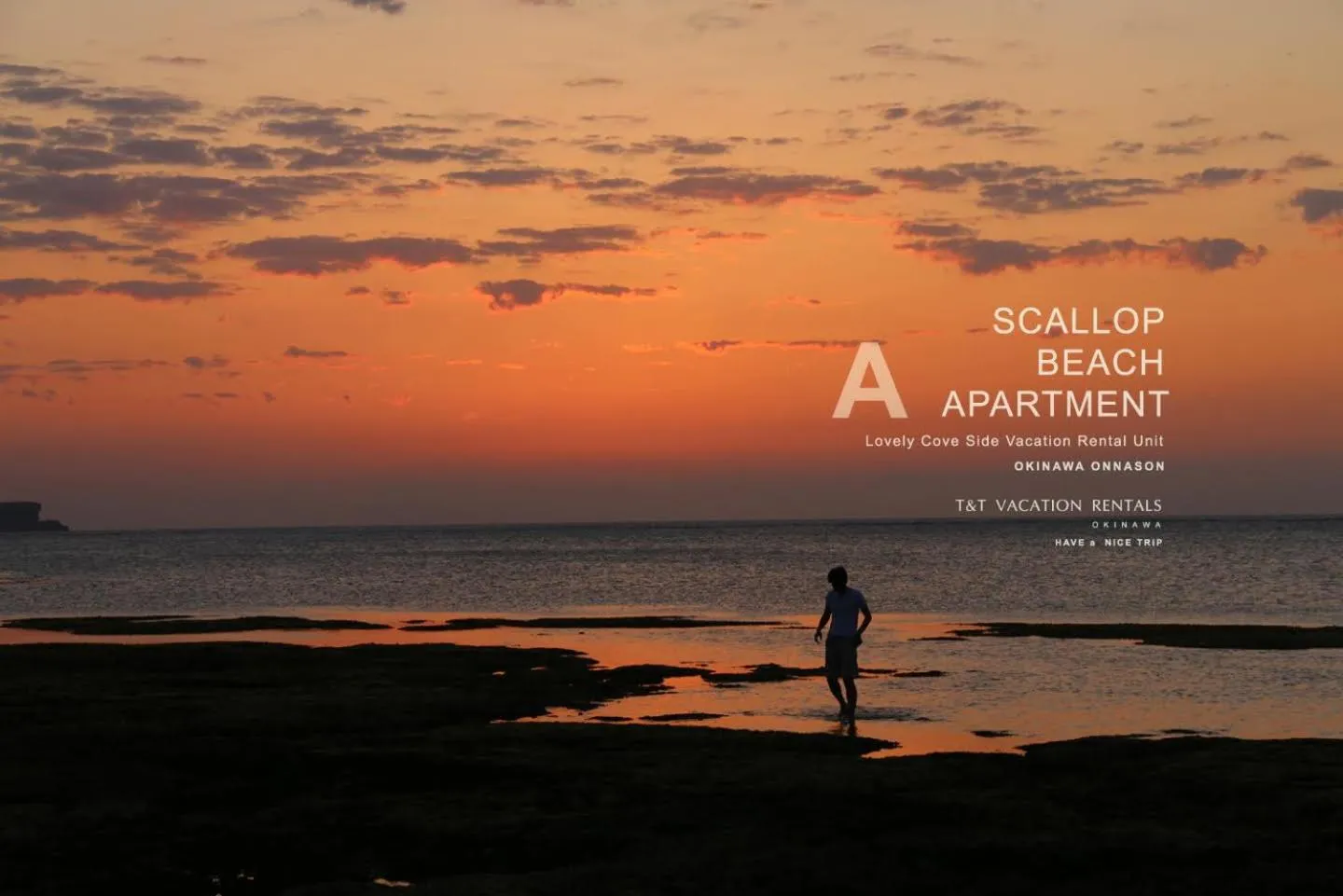 T&T MOF-Maeda Ocean Front House-