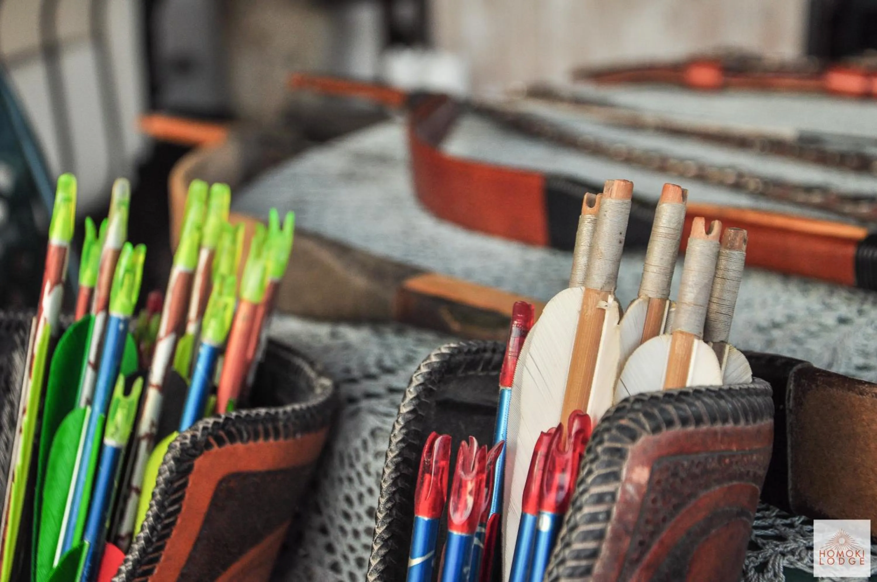 Activities in Homoki Lodge - Nature Quest Resort - Adult Only