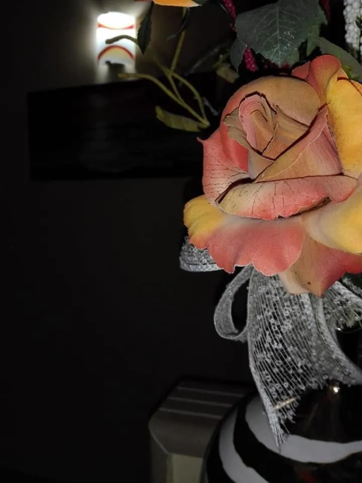 Decorative detail in Amaryllis Hotel