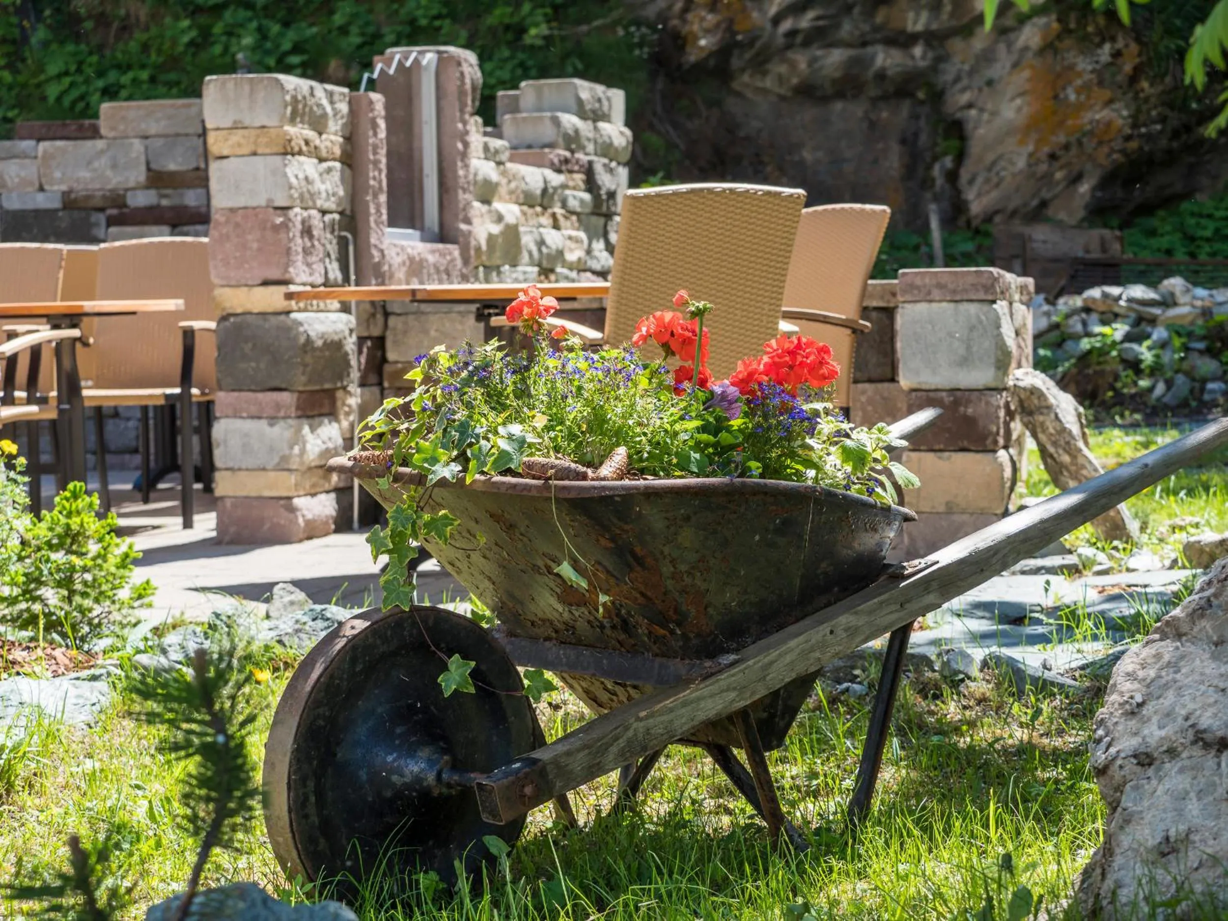 Garden in Hotel Maria