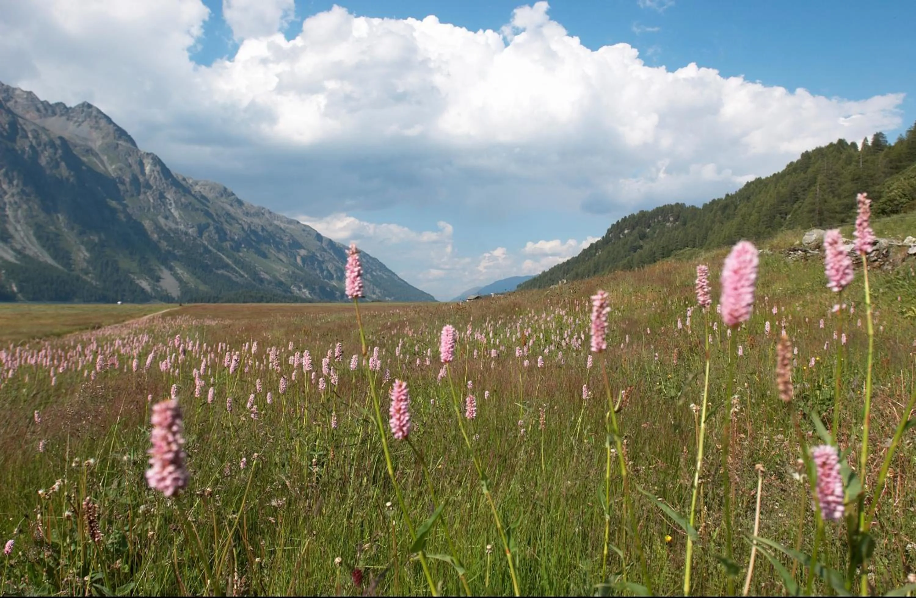 Natural landscape in Hotel Maria