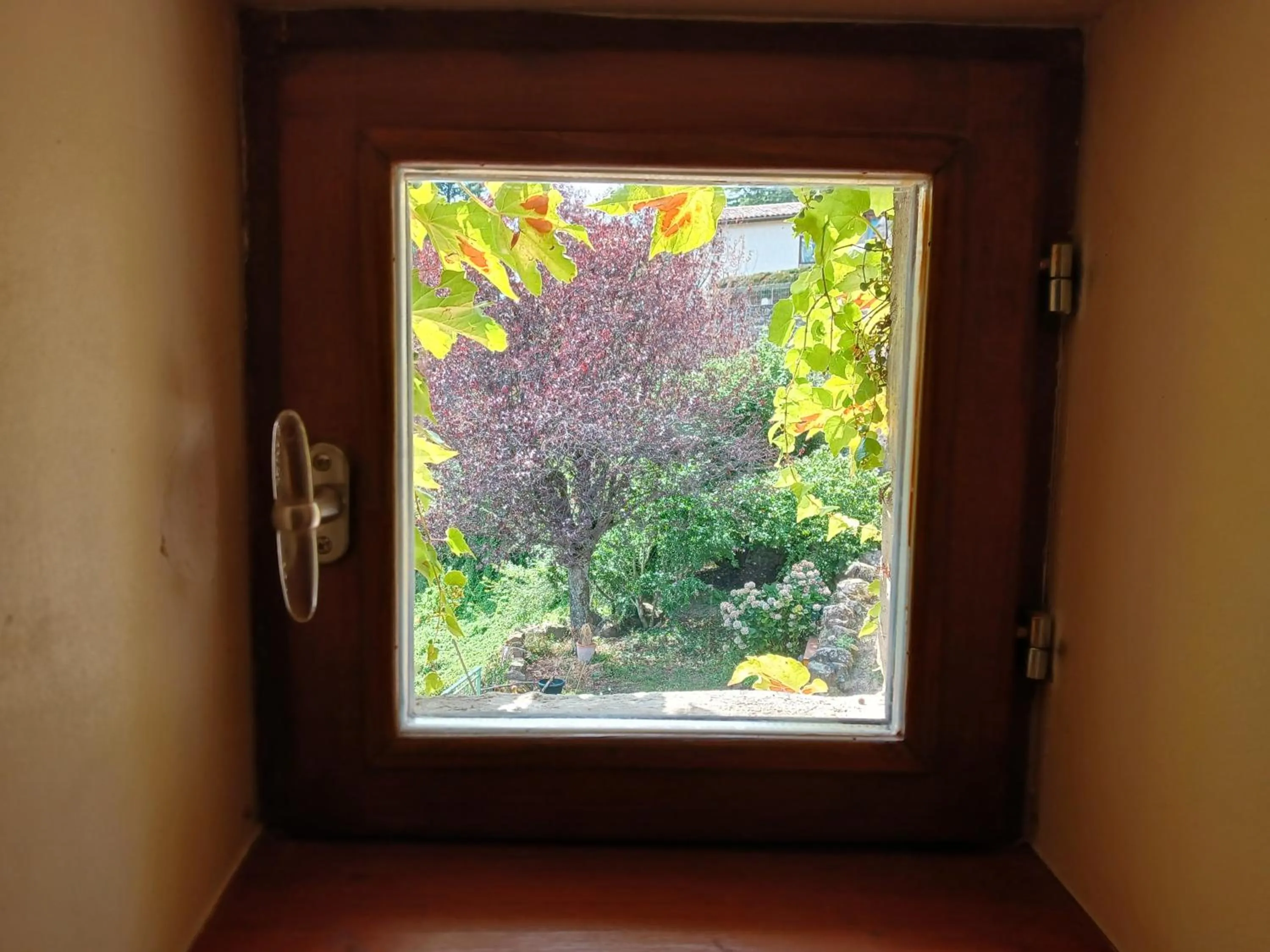 Garden view in Le Chalet du Parc proche du safari parc de Peaugres