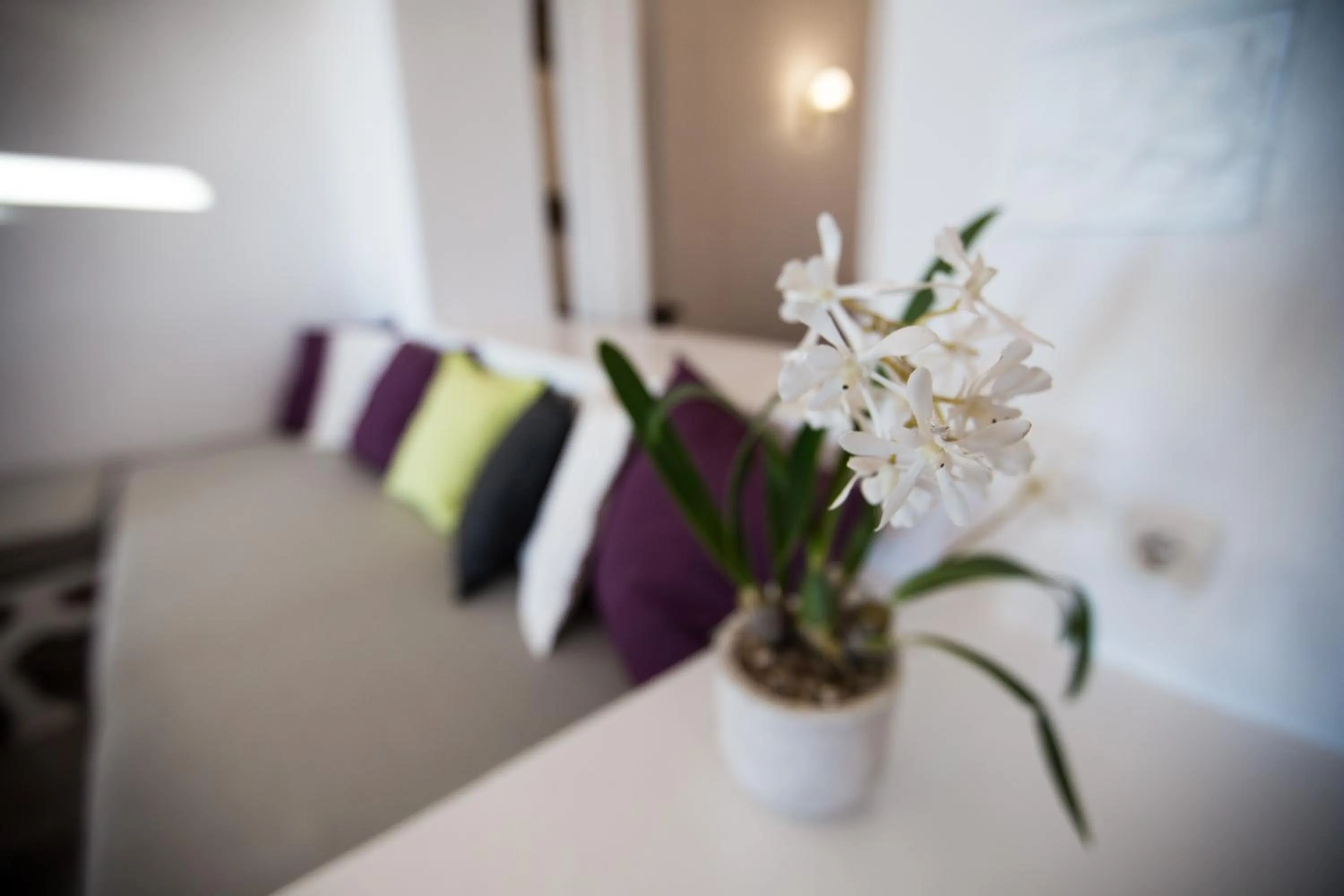 Seating area in Afroessa Hotel by Pearl Hotel Collection