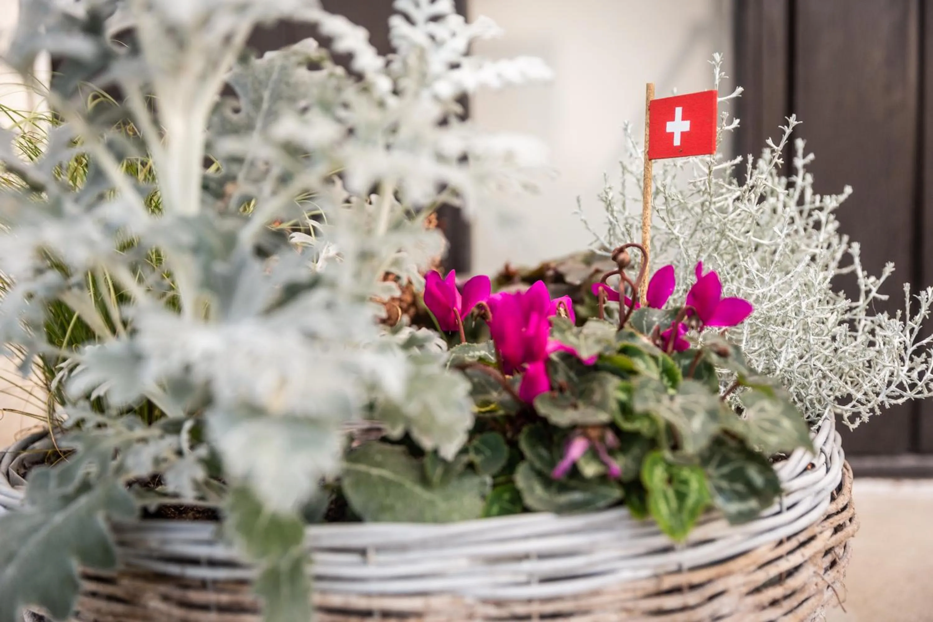 Breakfast in MyBednBreakfast in Bottmingen