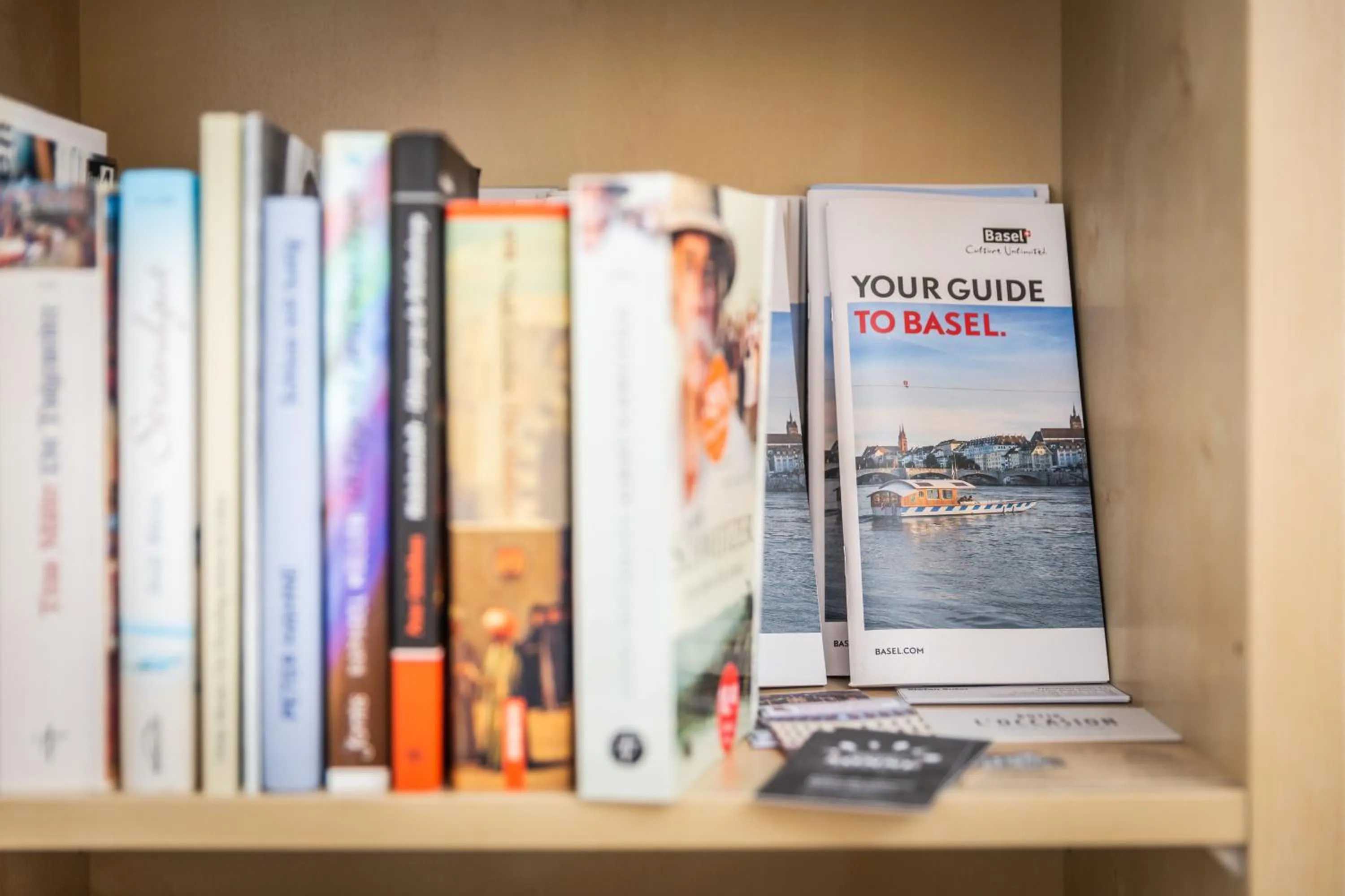 Library in MyBednBreakfast in Bottmingen