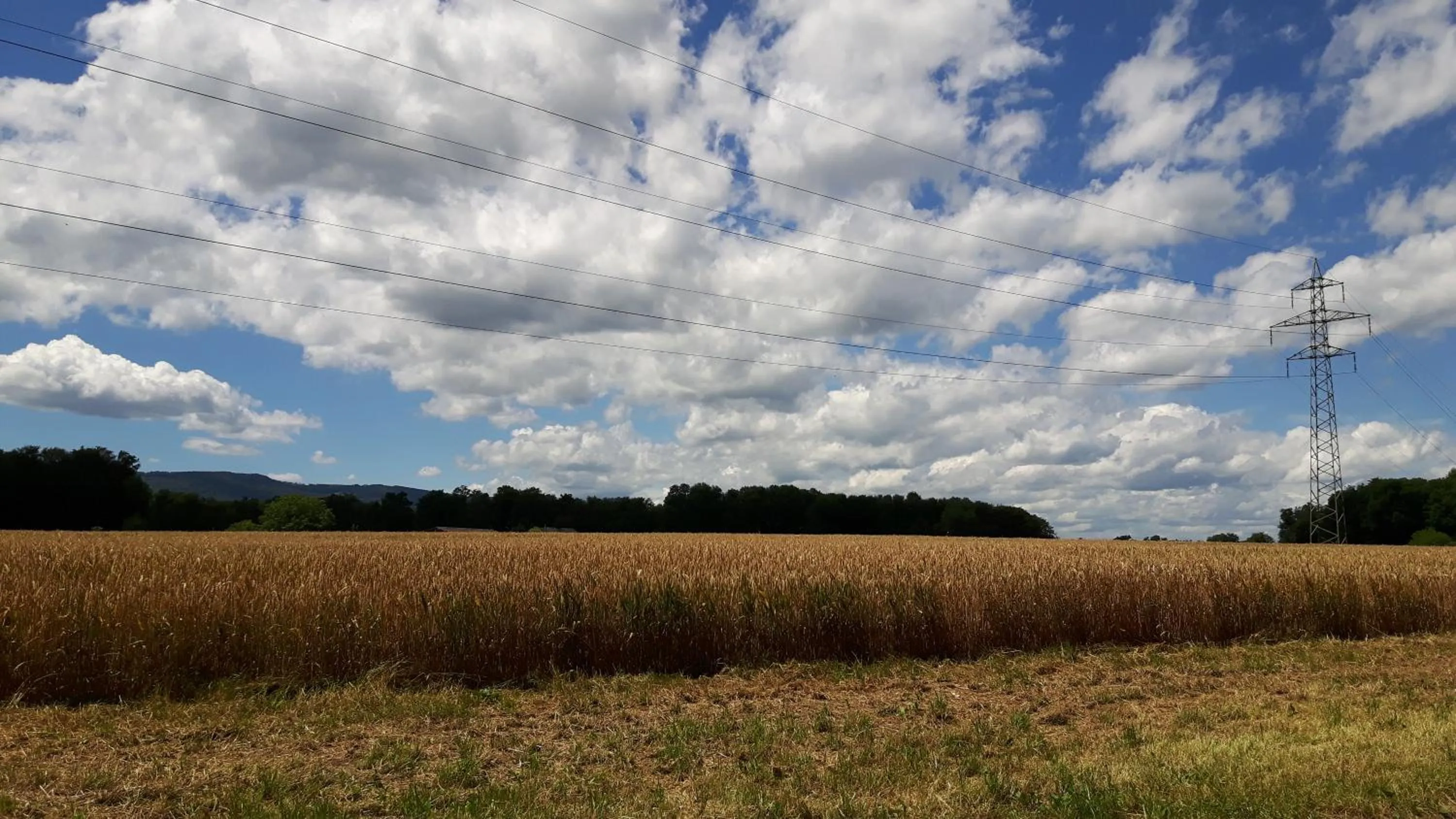 Natural landscape in MyBednBreakfast in Bottmingen