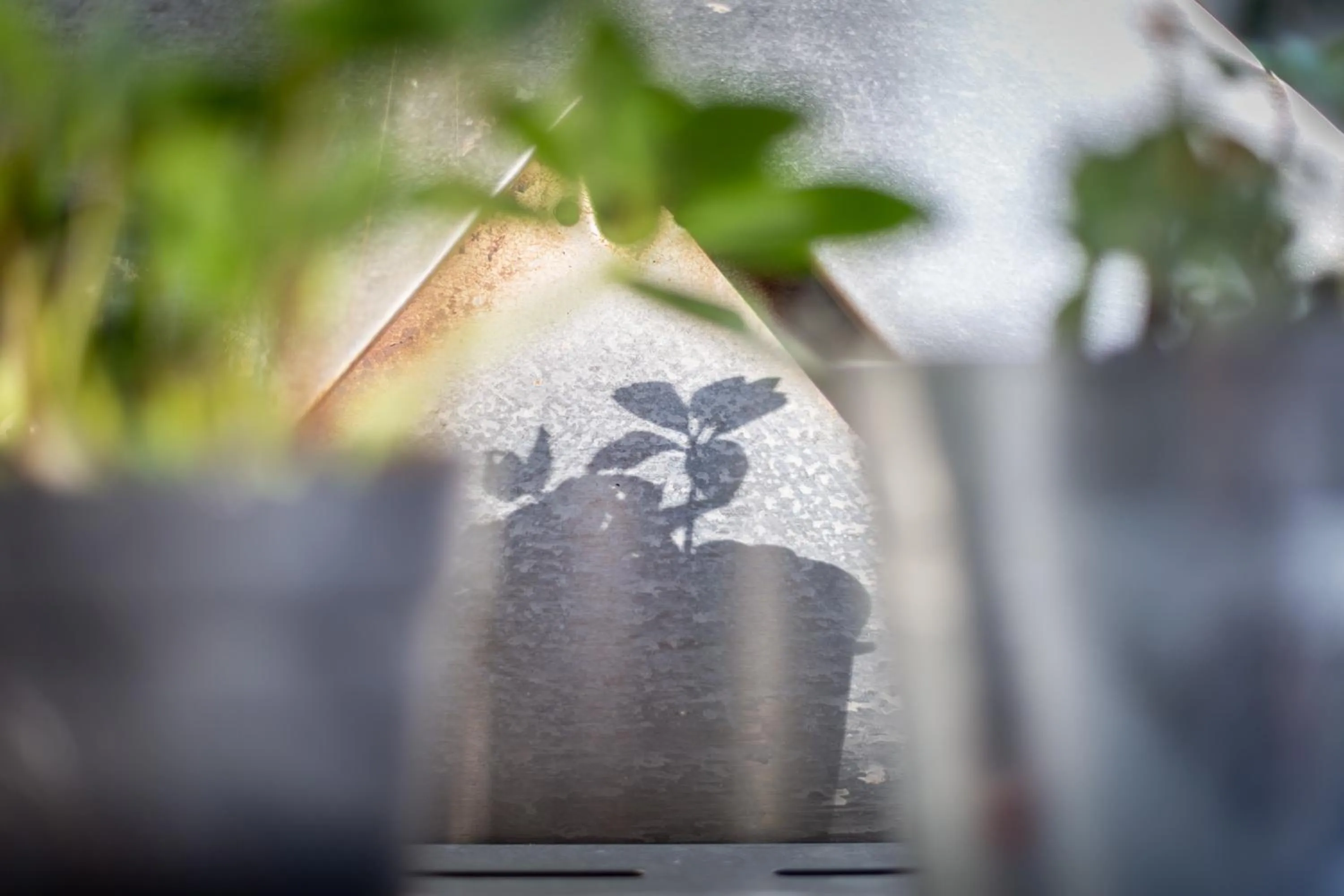 Breakfast in MyBednBreakfast in Bottmingen