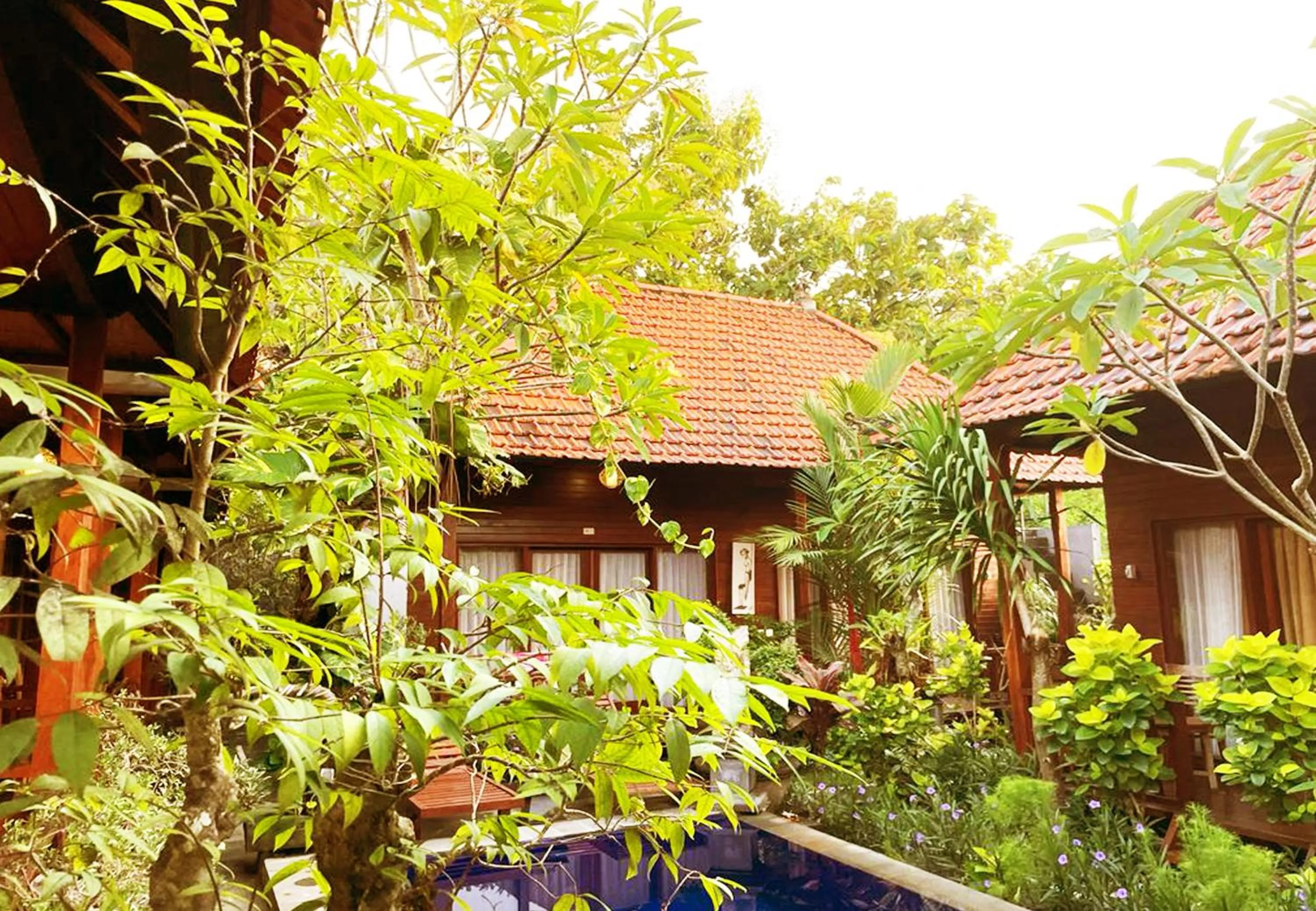 Garden in Wait Garden Cottage