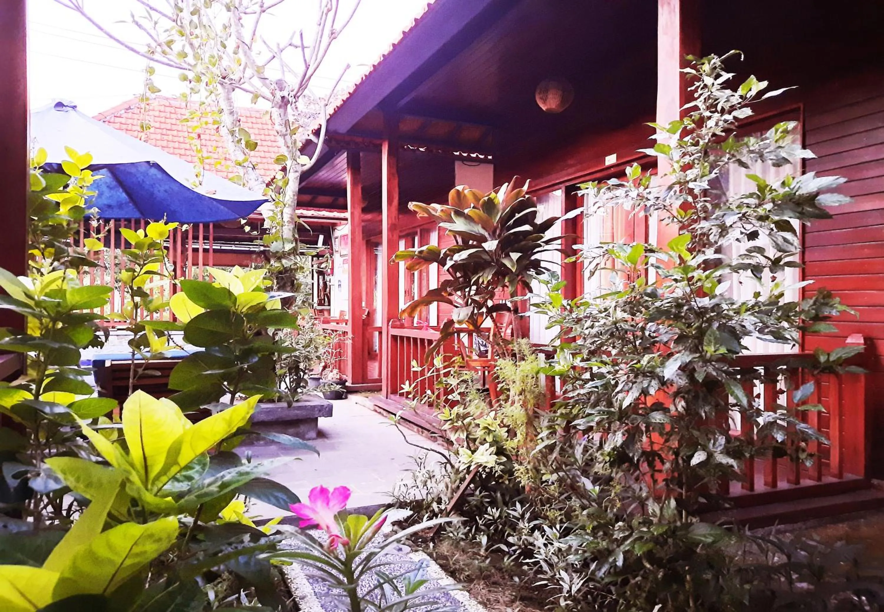 Garden in Wait Garden Cottage