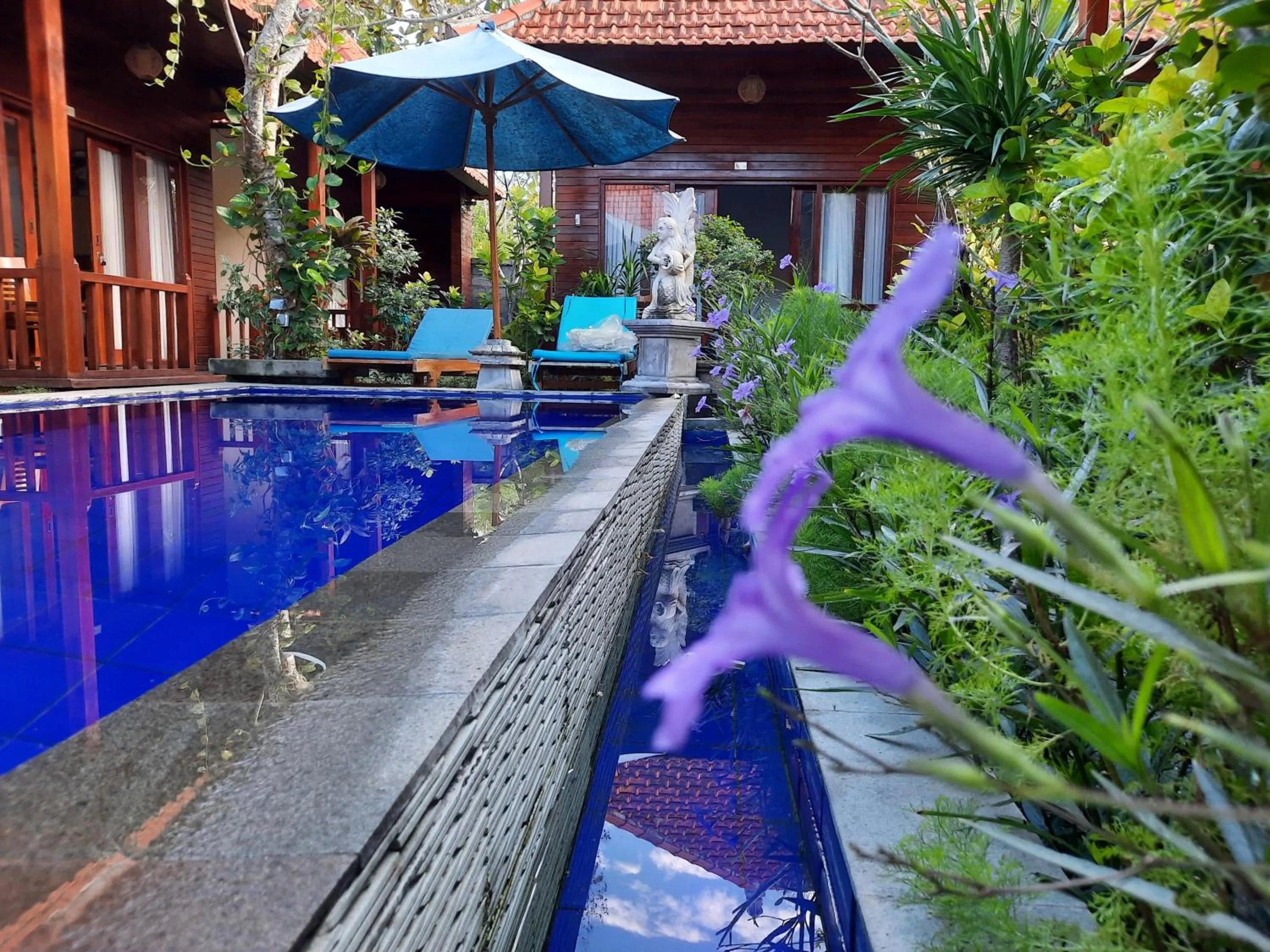 Pool view in Wait Garden Cottage