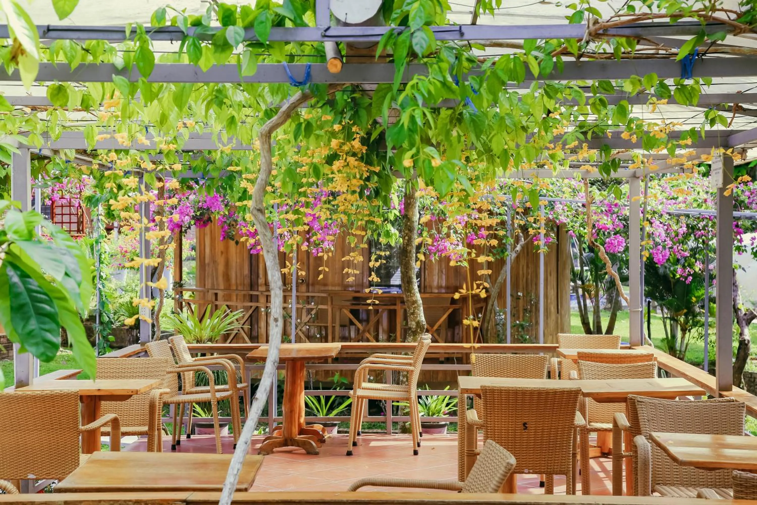 Garden in Phu Quoc Valley Sen Bungalow