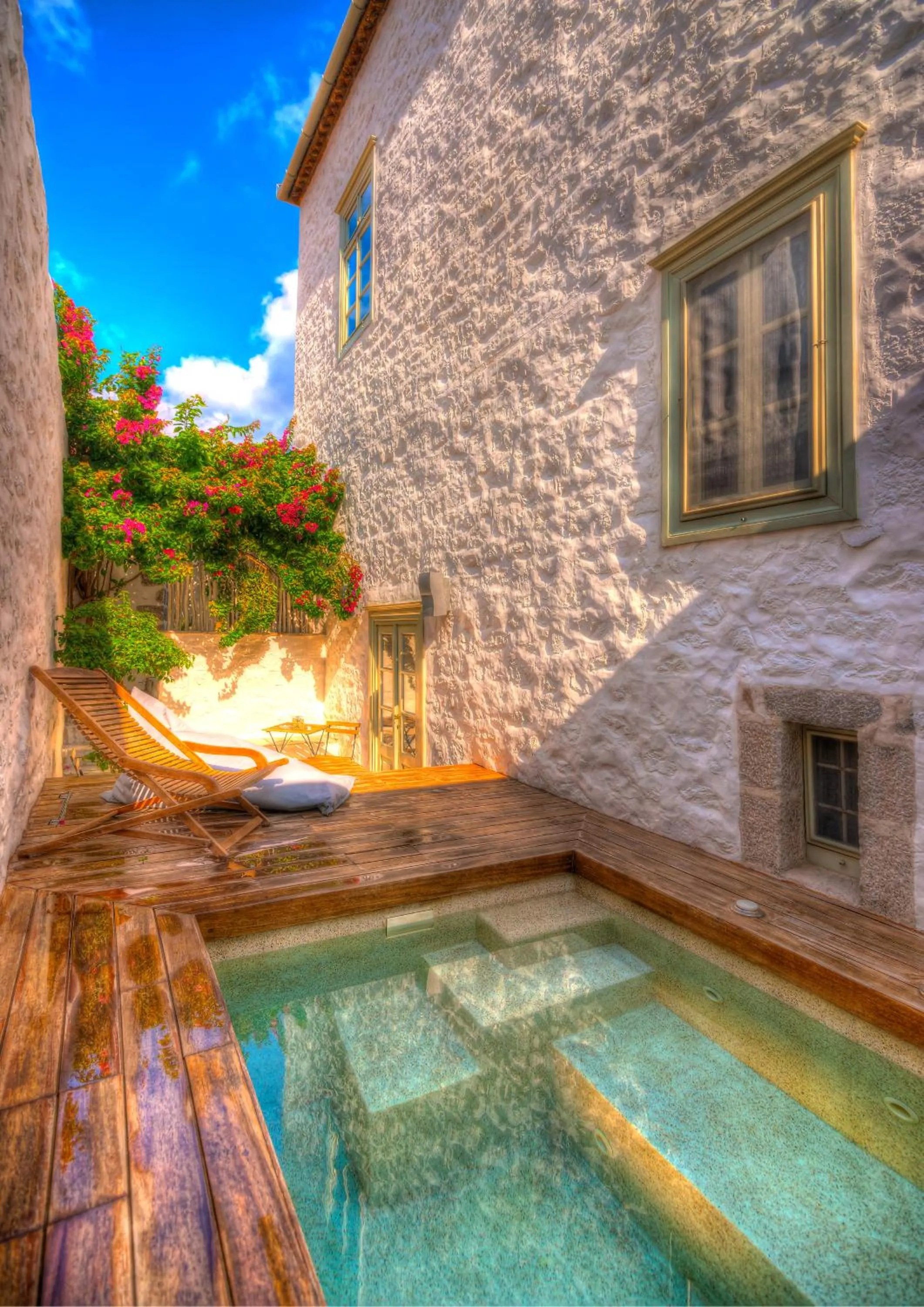 Cotommatae Hydra 1810