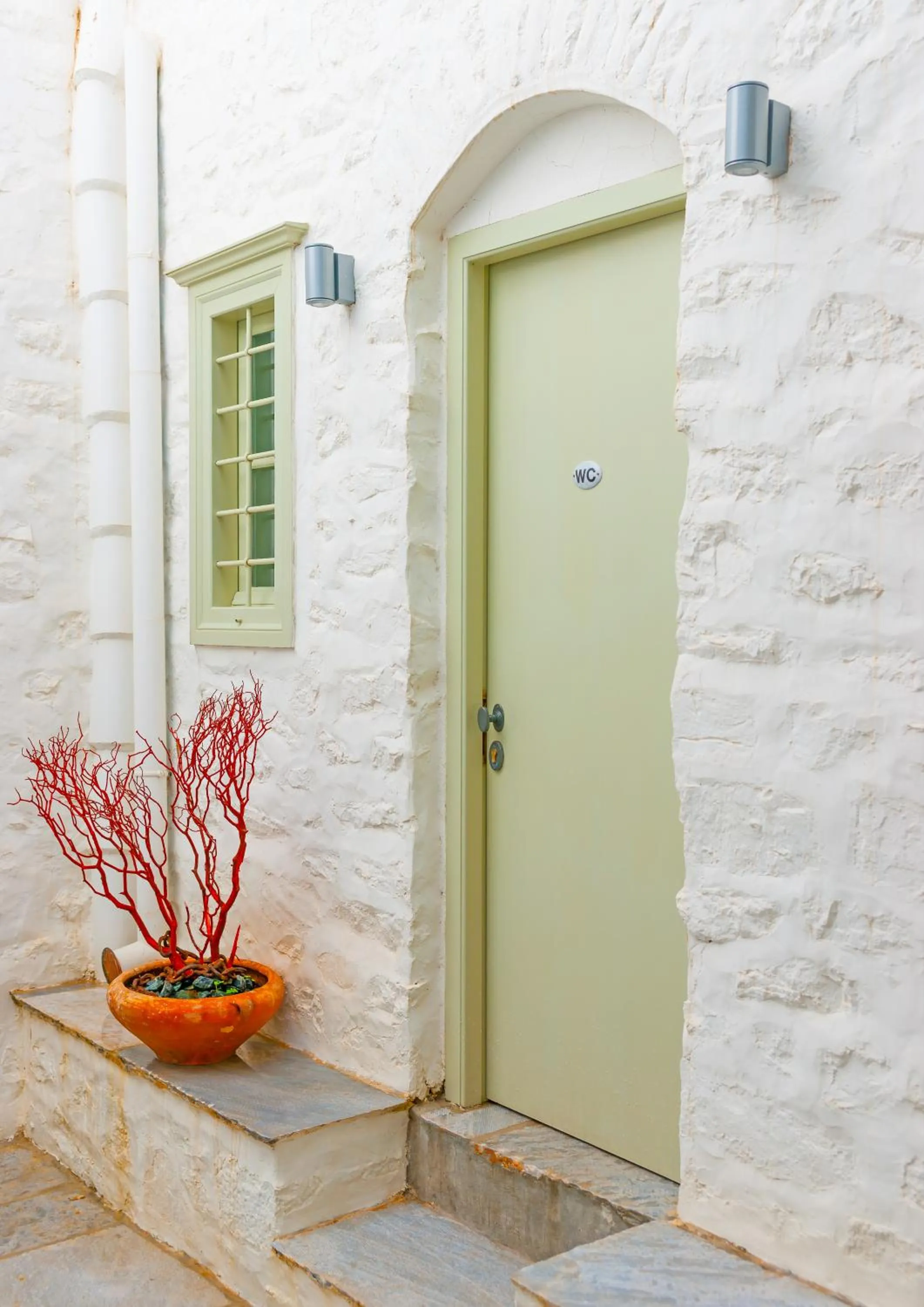 Cotommatae Hydra 1810