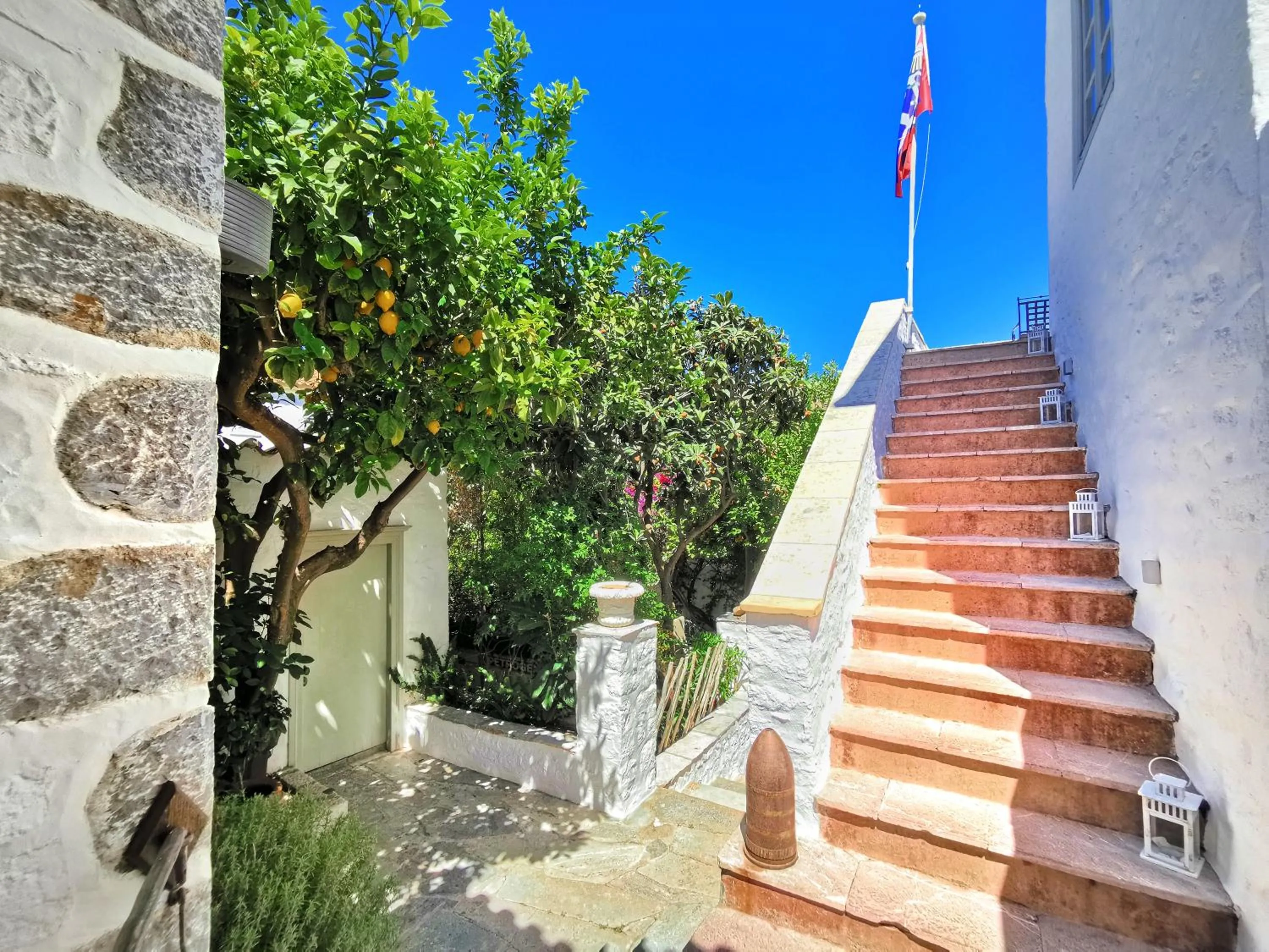 Cotommatae Hydra 1810