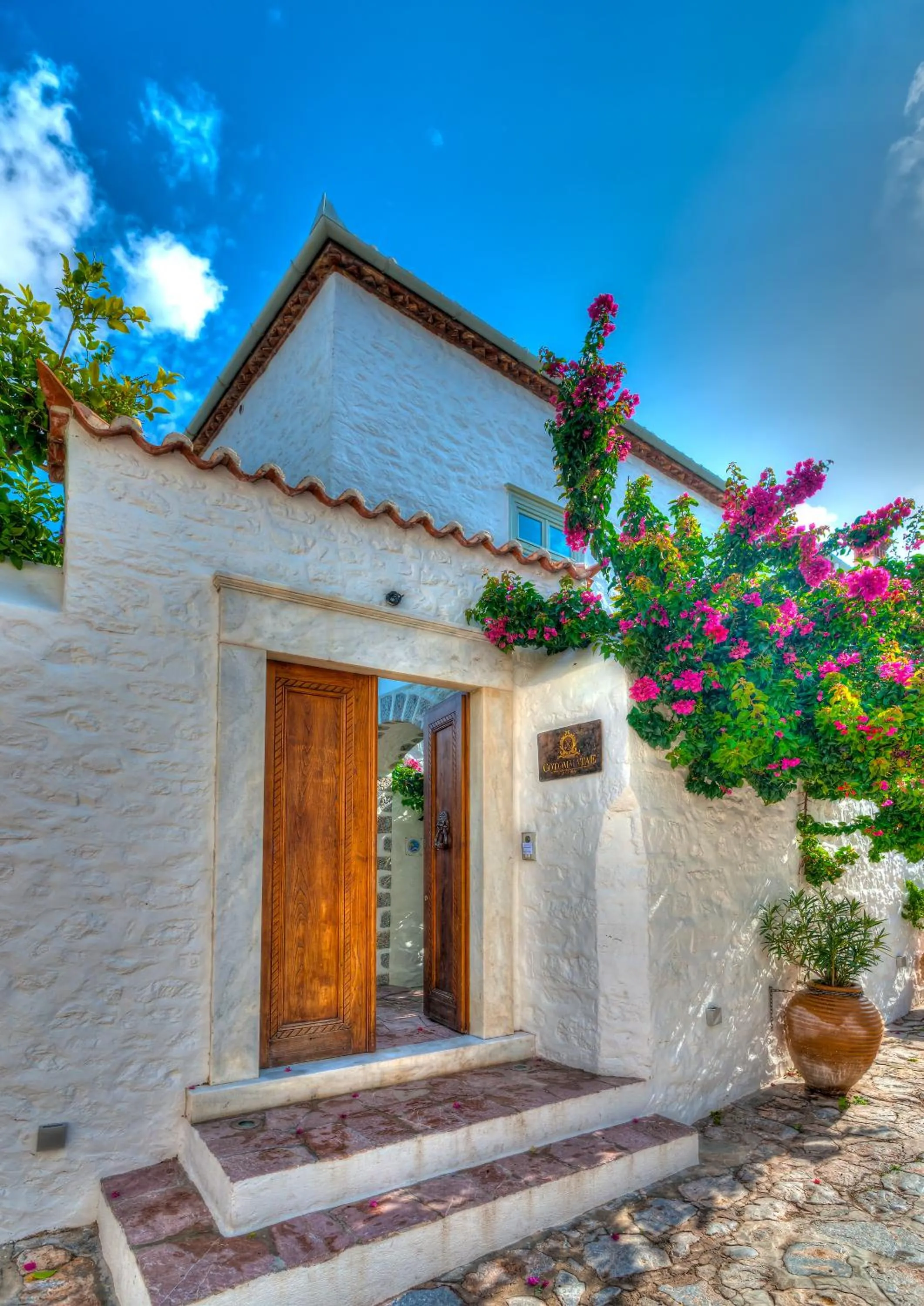 Bird's eye view in Cotommatae Hydra 1810