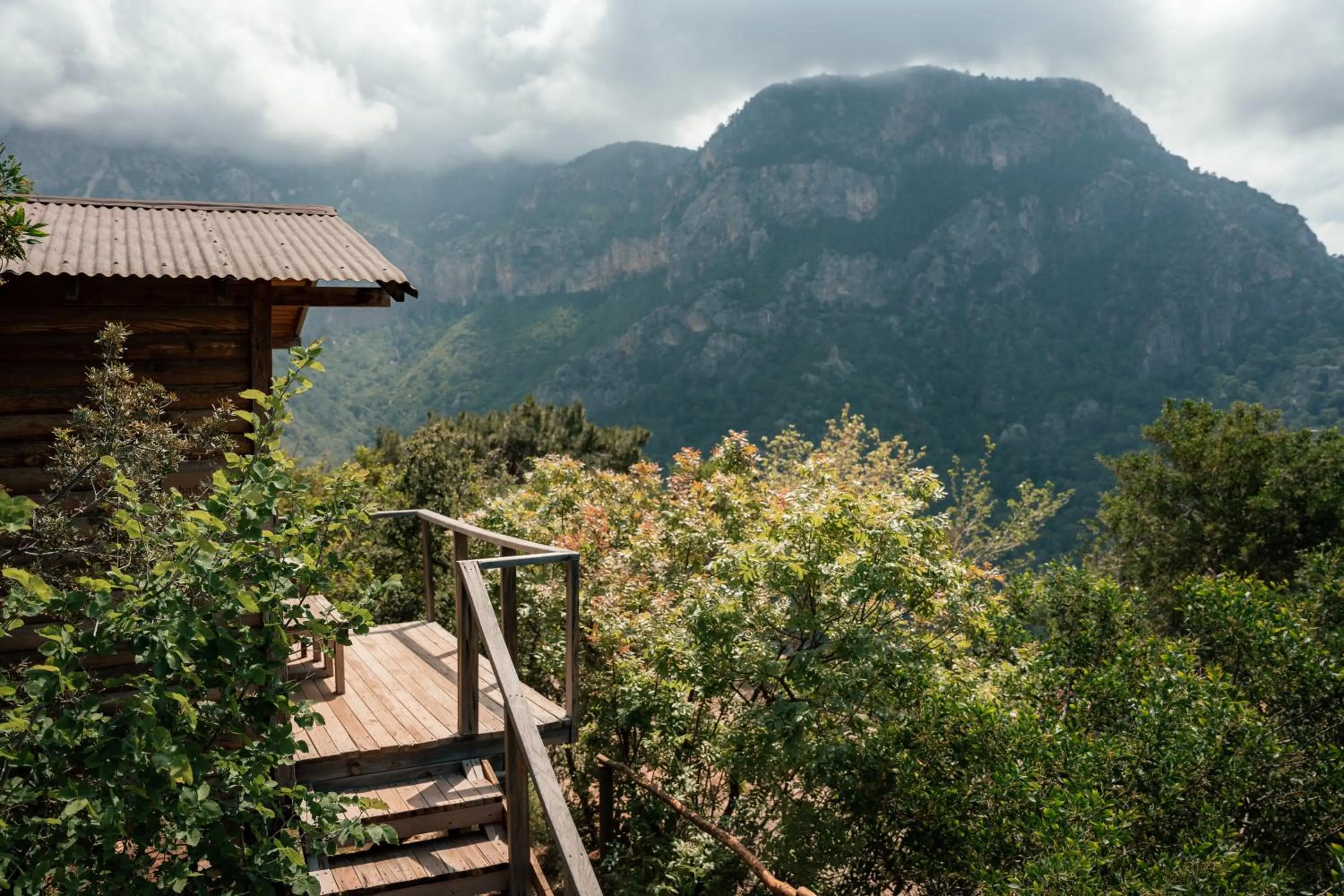 Mountain view in Olive Garden Kabak