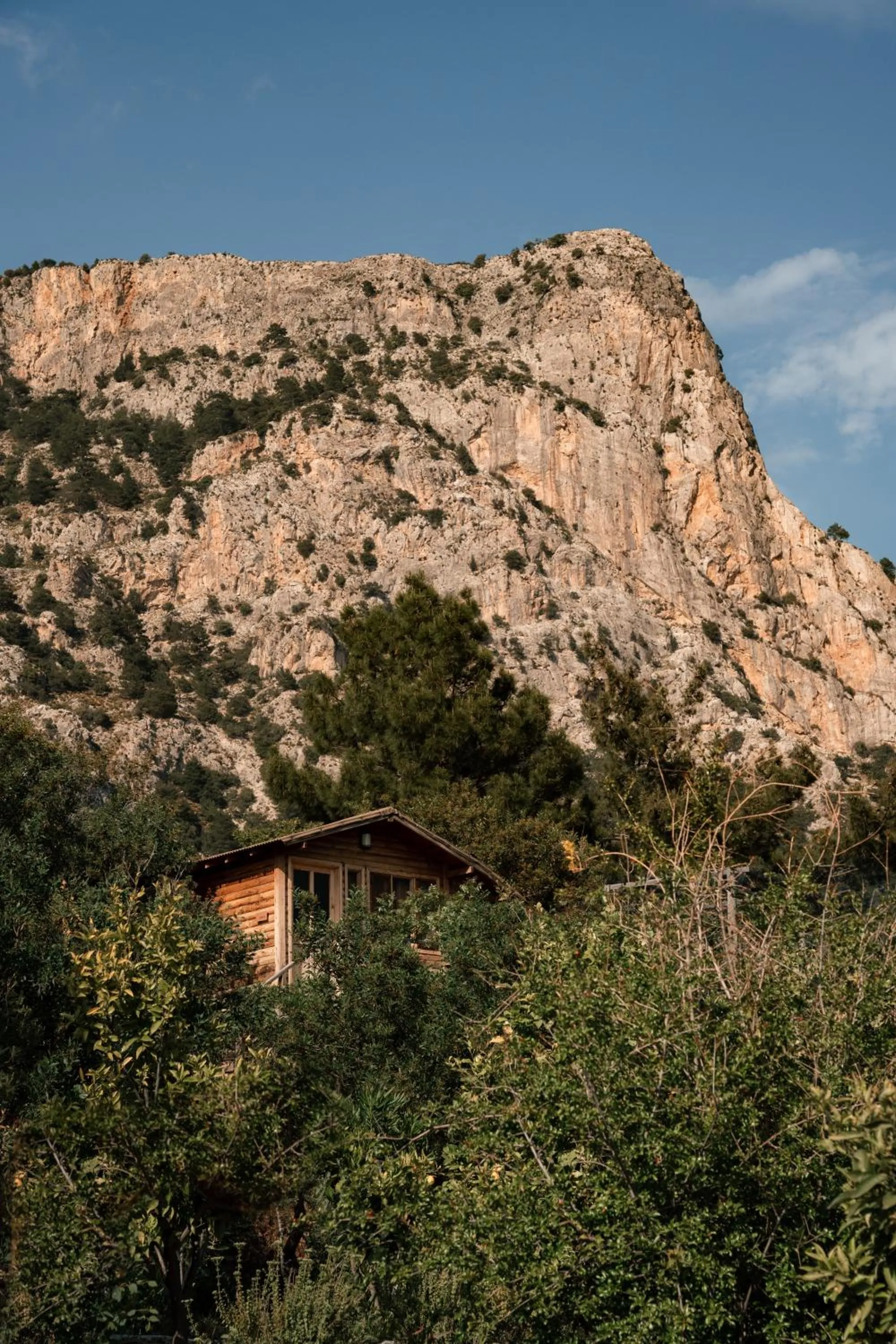 Mountain view in Olive Garden Kabak
