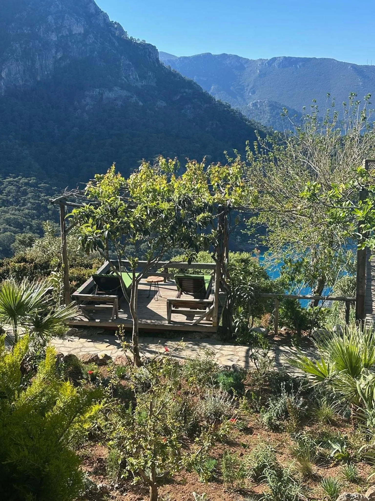 View (from property/room) in Olive Garden Kabak