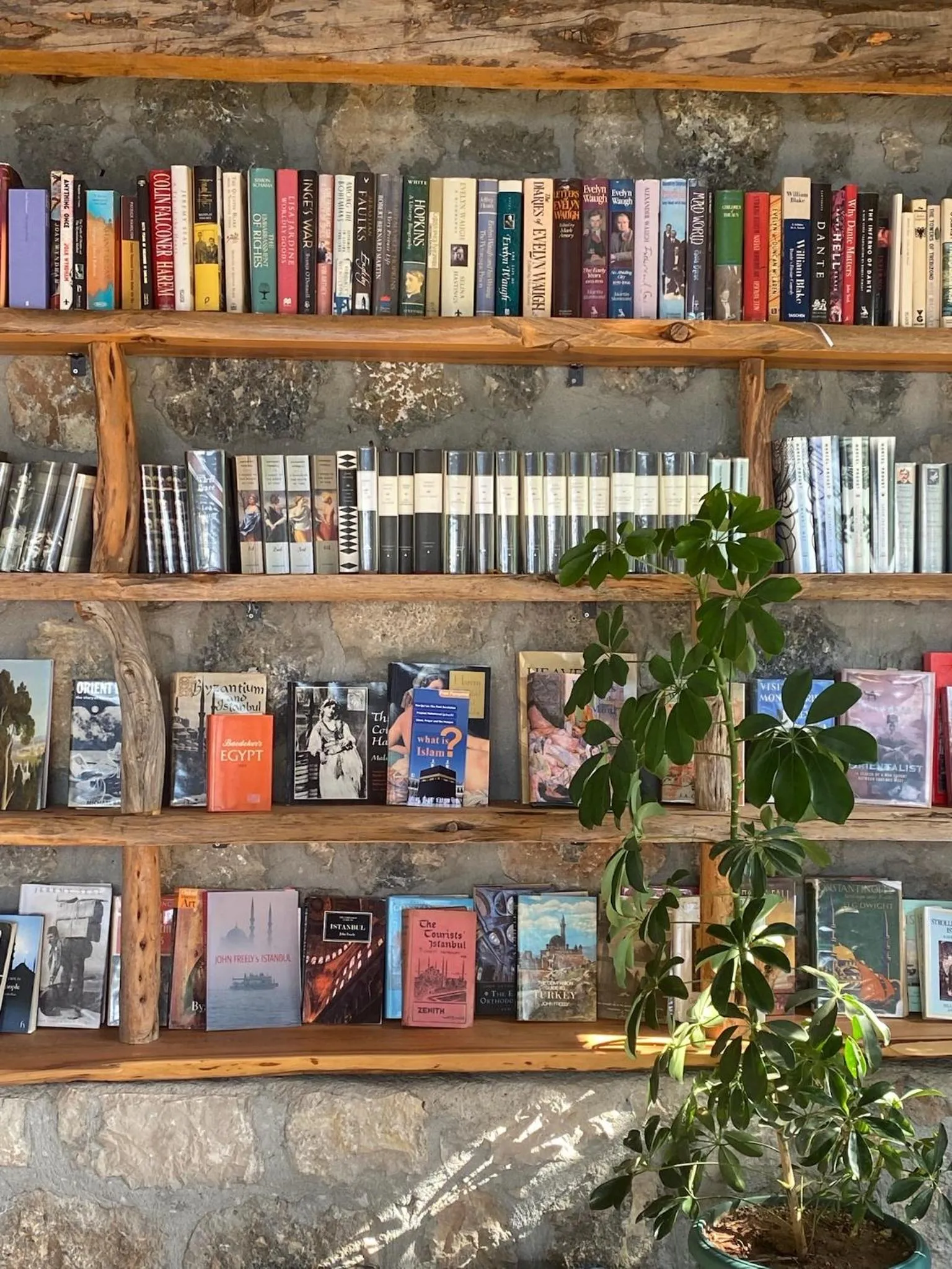 Library in Olive Garden Kabak