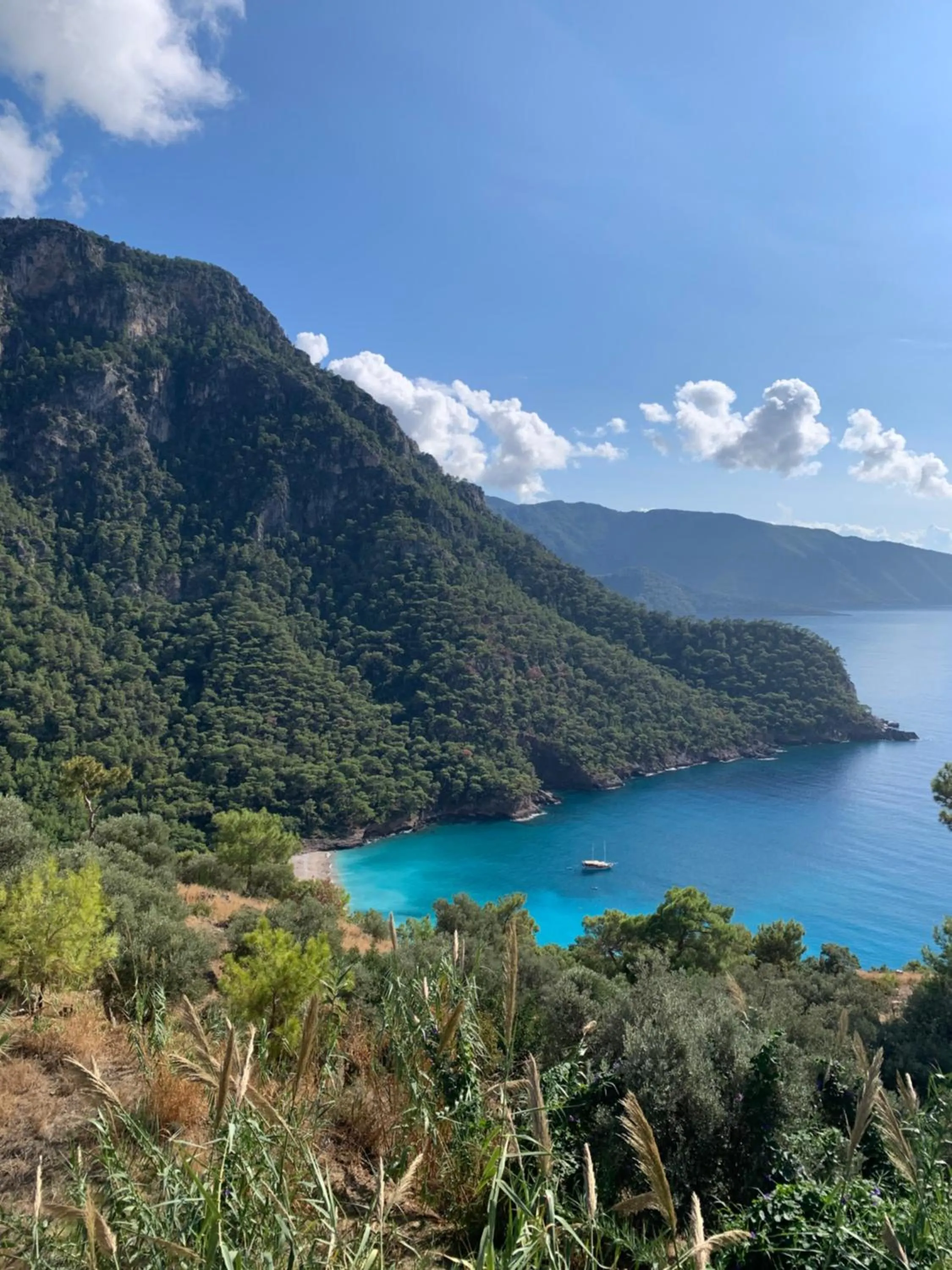 Natural landscape in Olive Garden Kabak