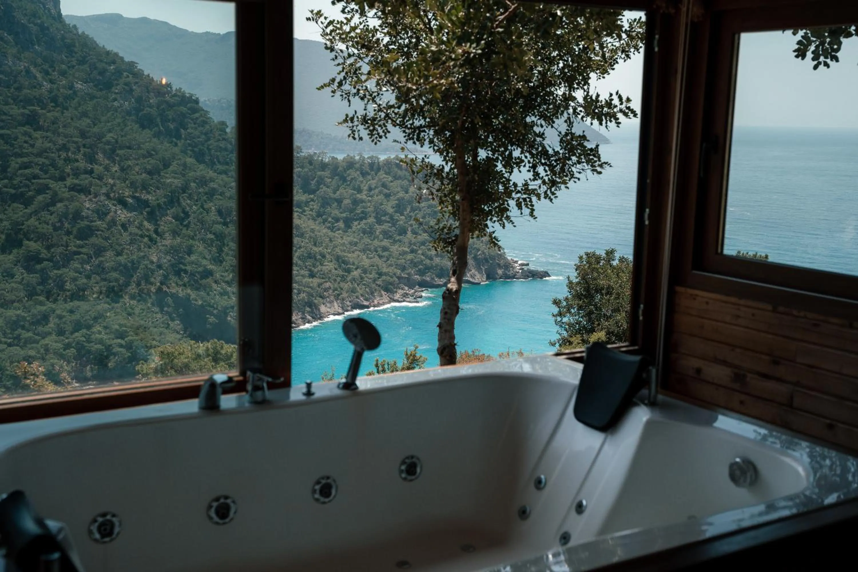 Natural landscape in Olive Garden Kabak