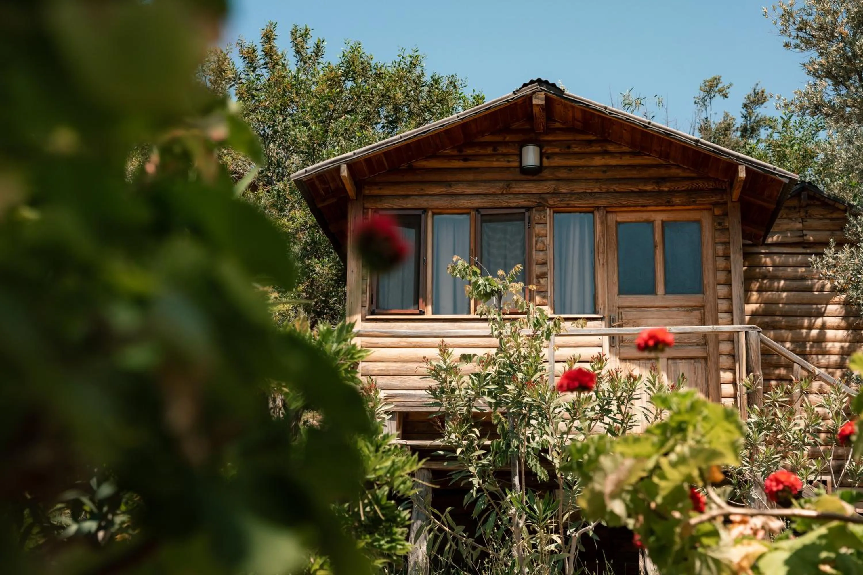 Property building in Olive Garden Kabak