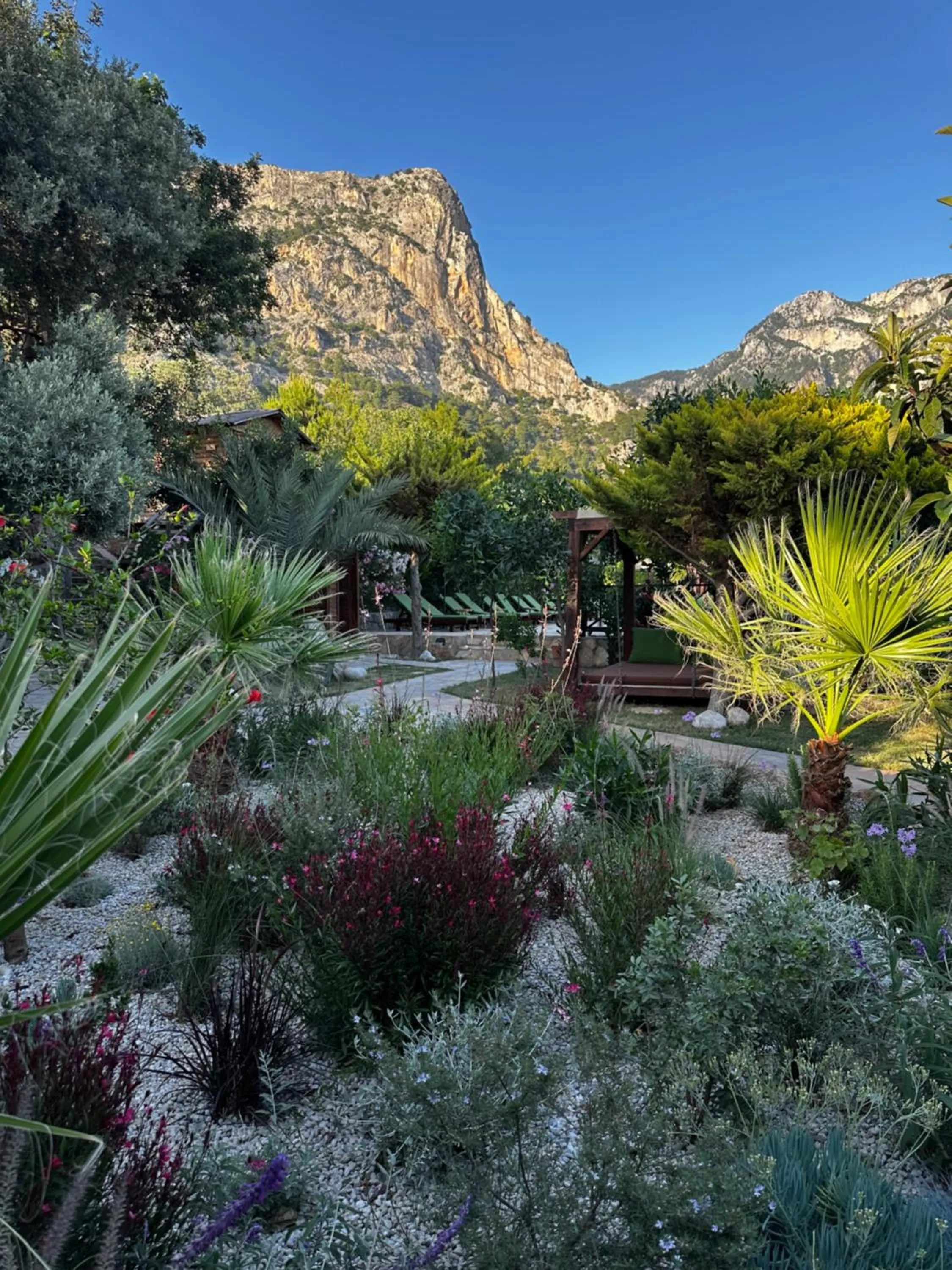 Garden in Olive Garden Kabak