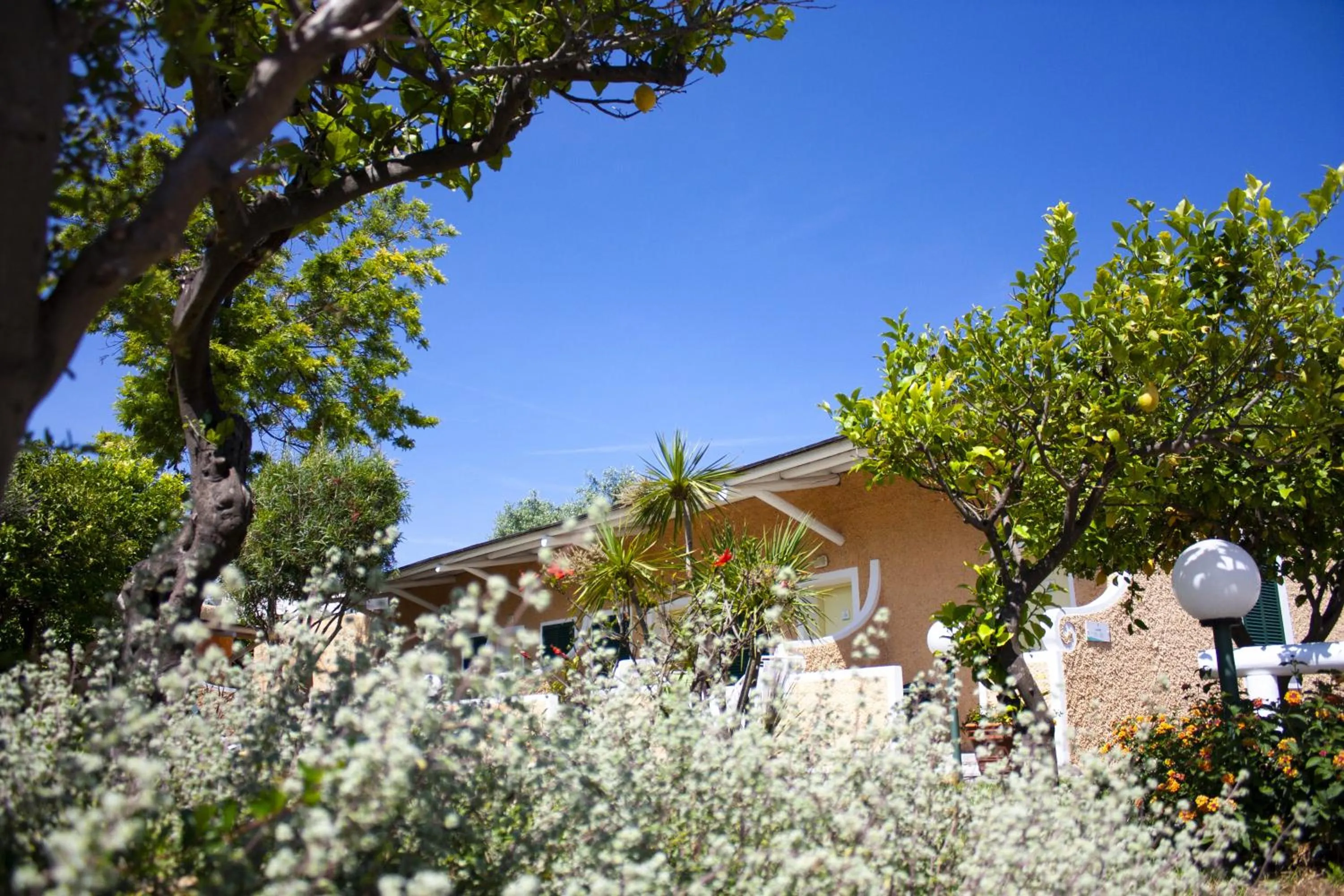 Property building in Hotel Parco Delle Agavi