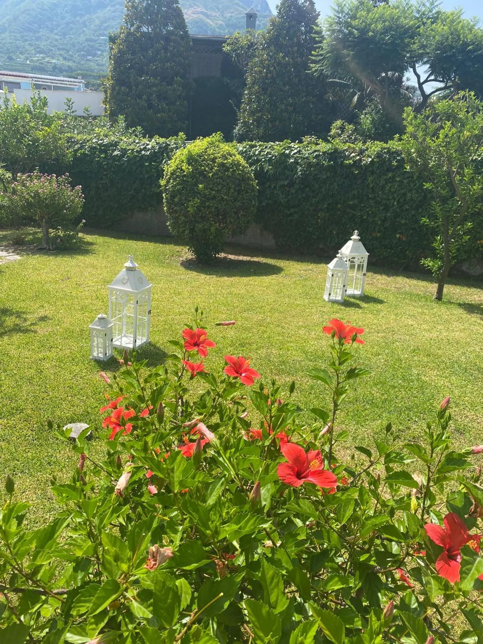 Garden in Hotel Parco Delle Agavi
