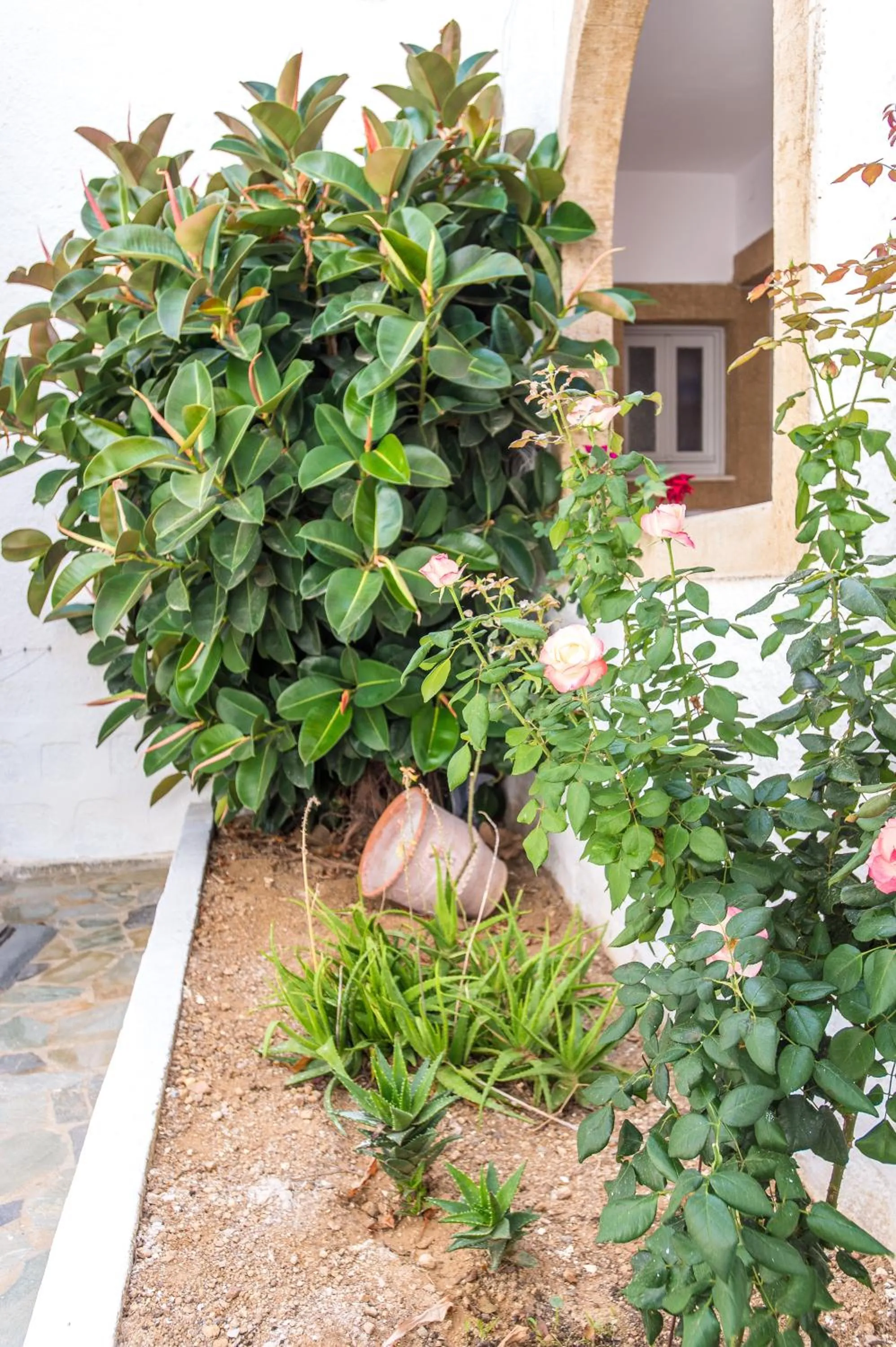 Joanna Apart - Hotel