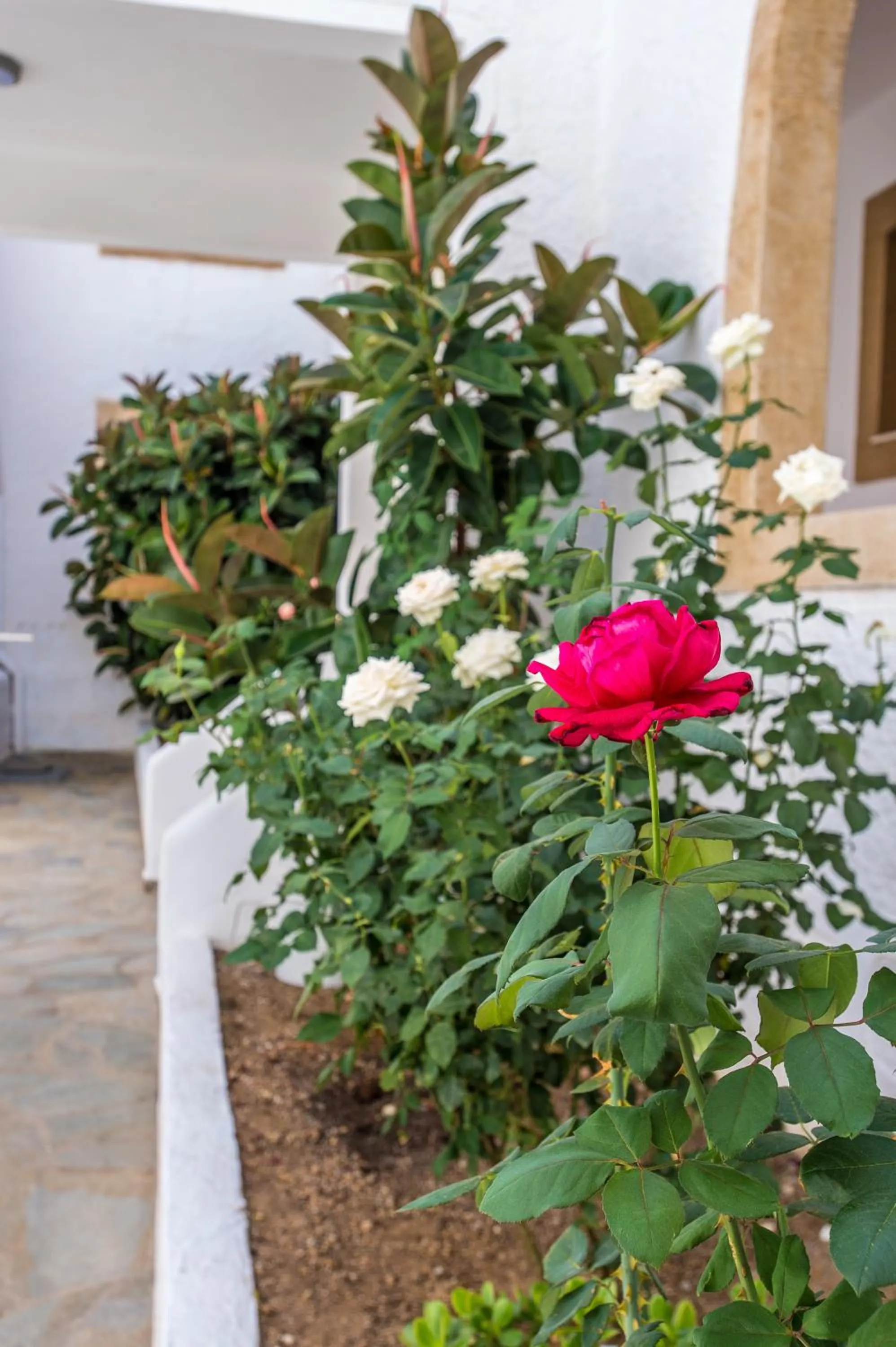 Joanna Apart - Hotel