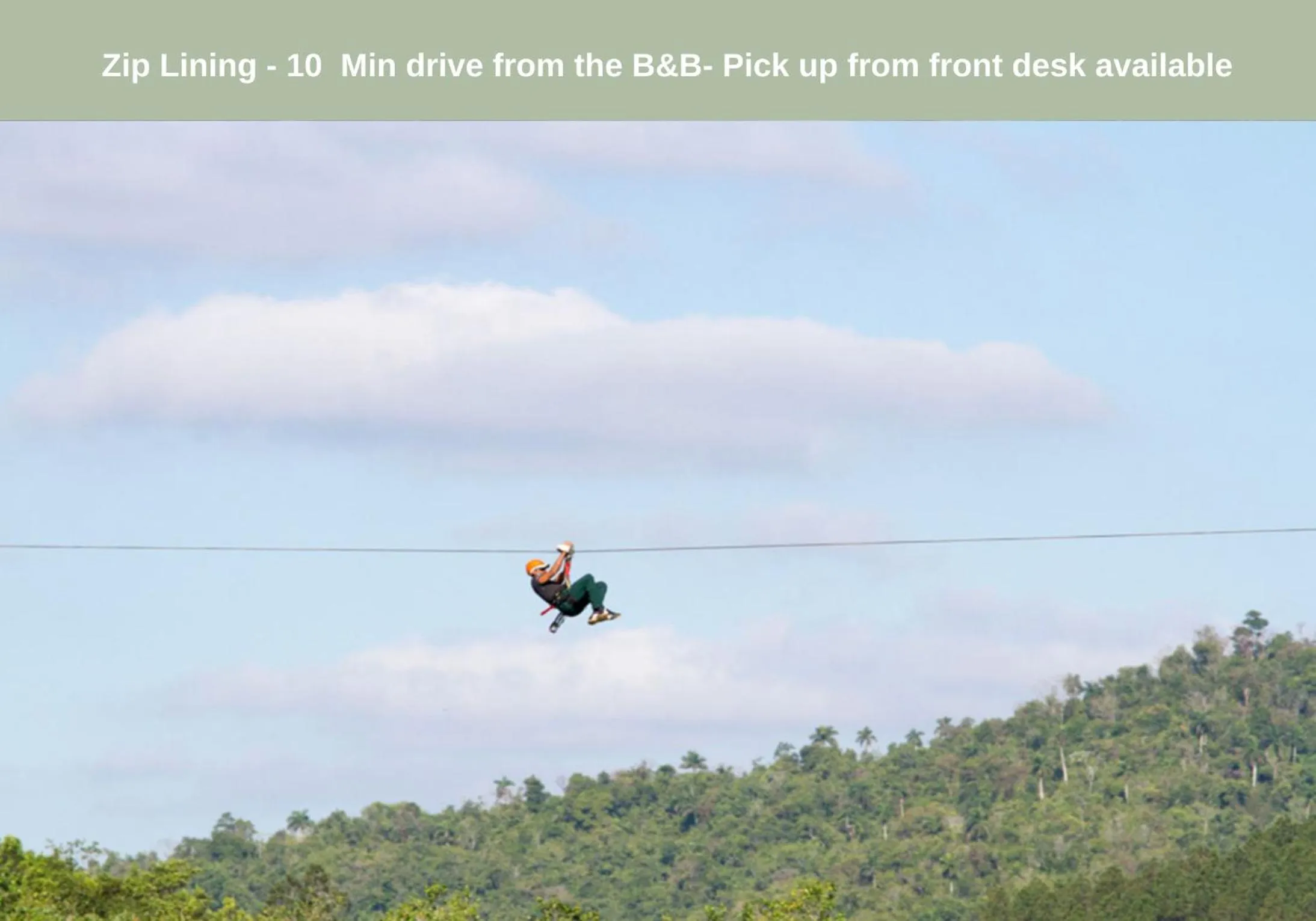 Activities in Camino Verde B&B Monteverde Costa Rica