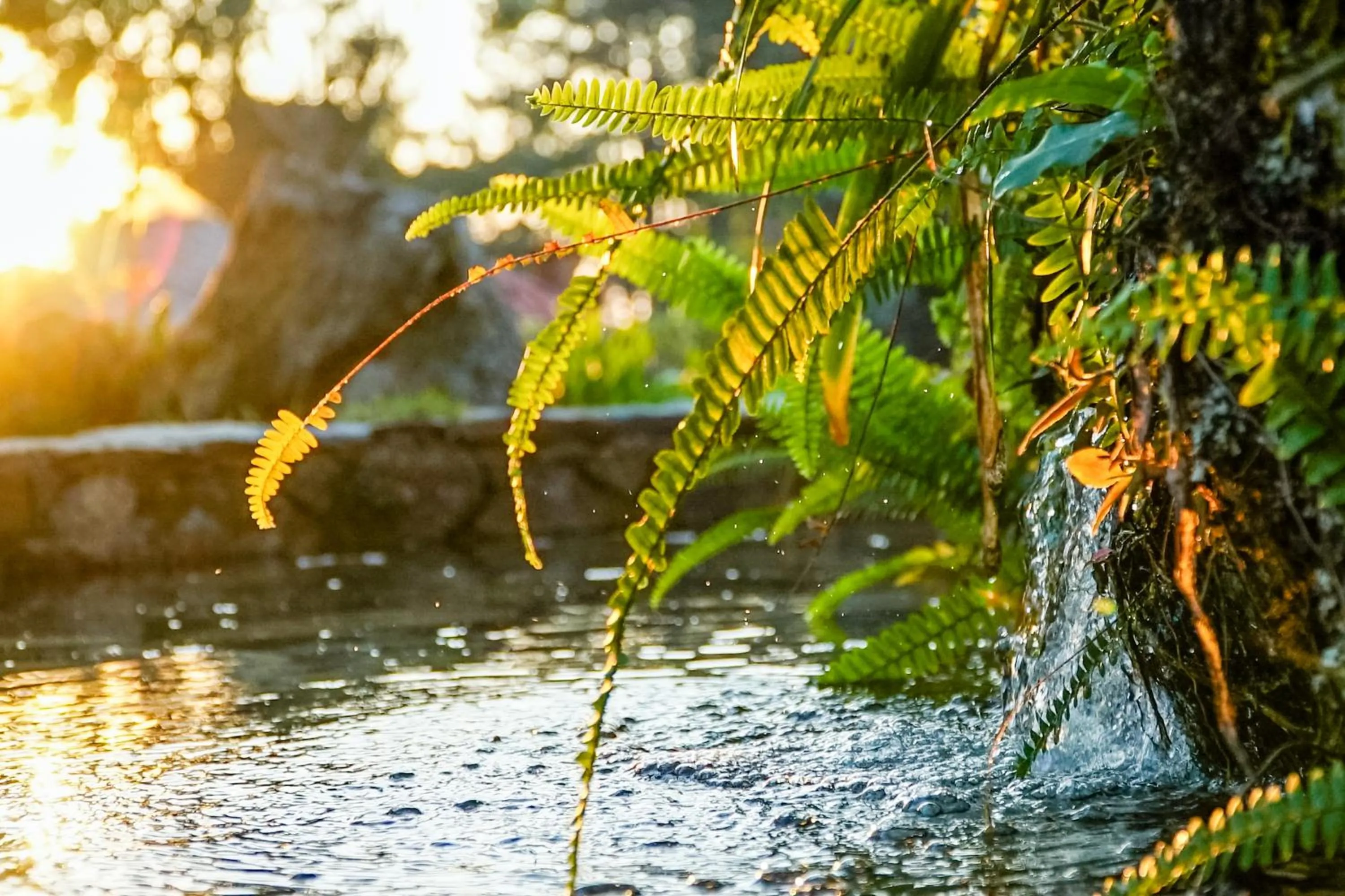 Natural landscape in VELINN Pousada Torre Branca