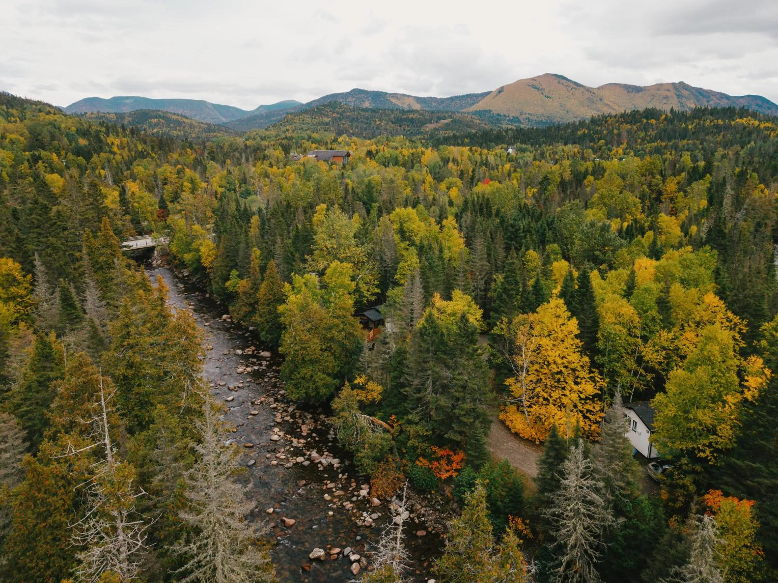 View (from property/room) in Gîte du Mont-Albert - Sepaq