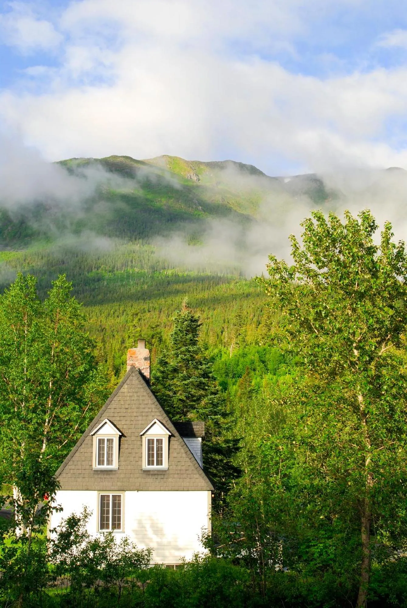 Mountain view in Gîte du Mont-Albert - Sepaq