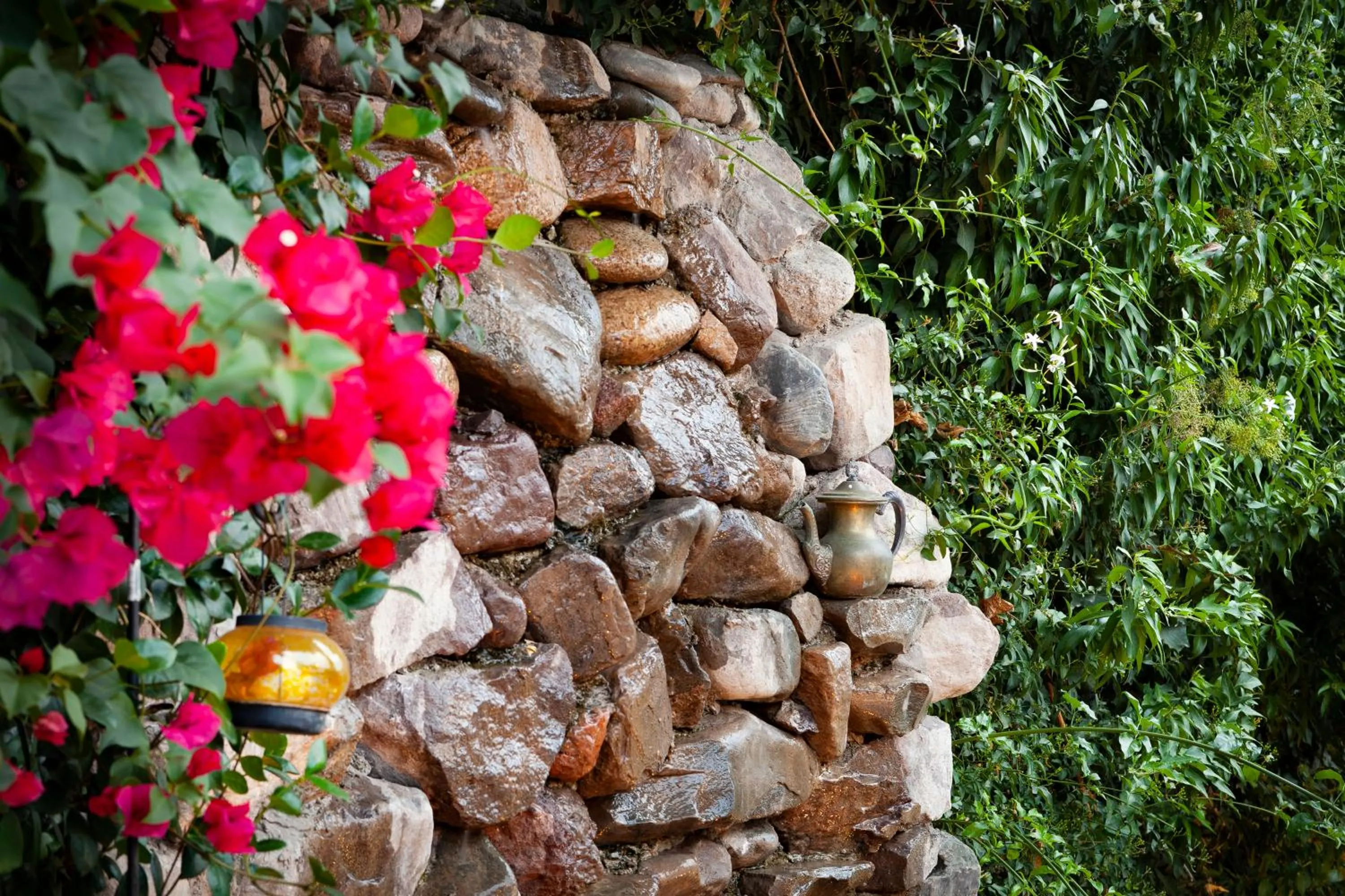 Garden view in Posada de Rosas