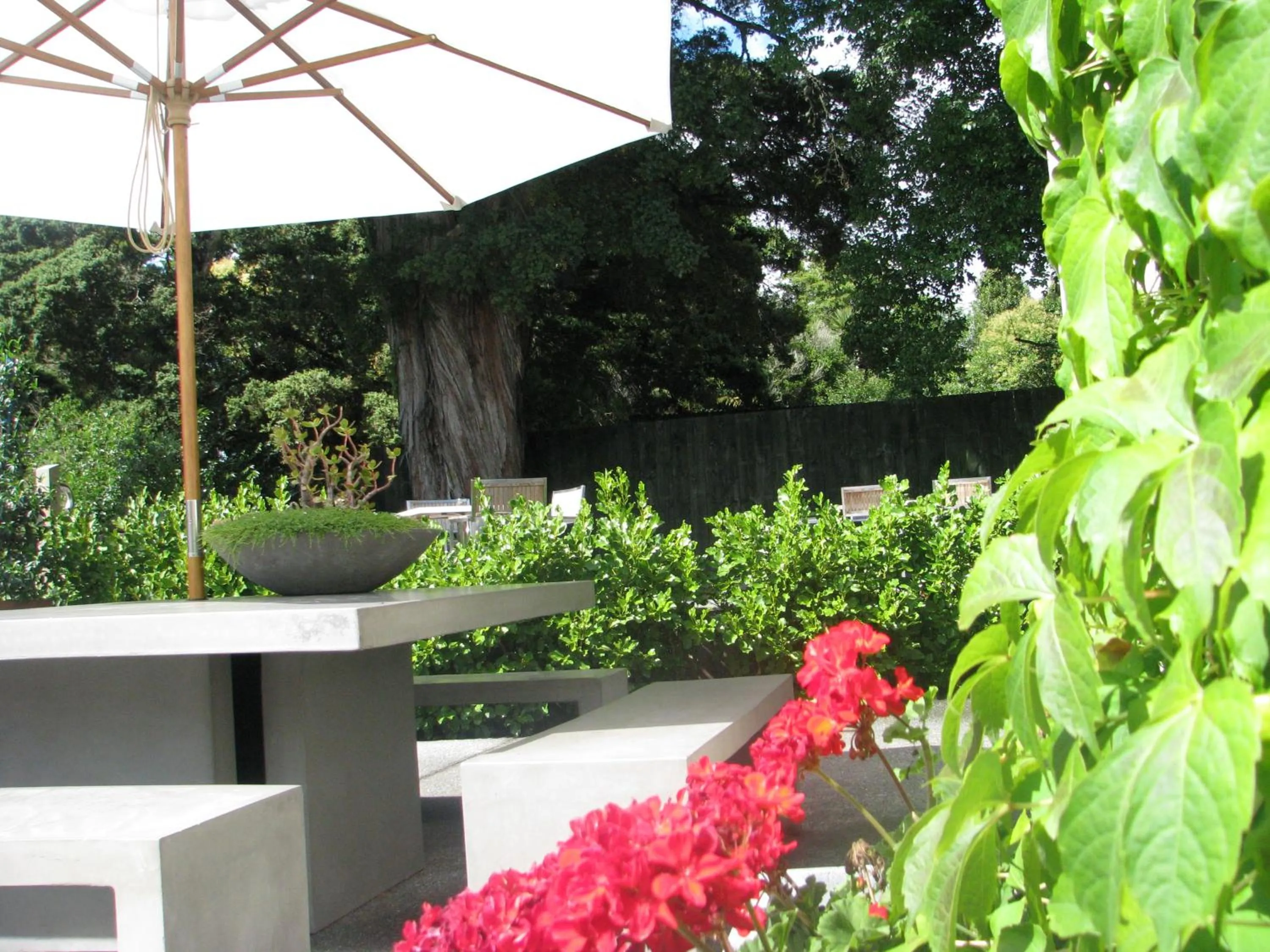 Garden in Bridgehouse Lodge