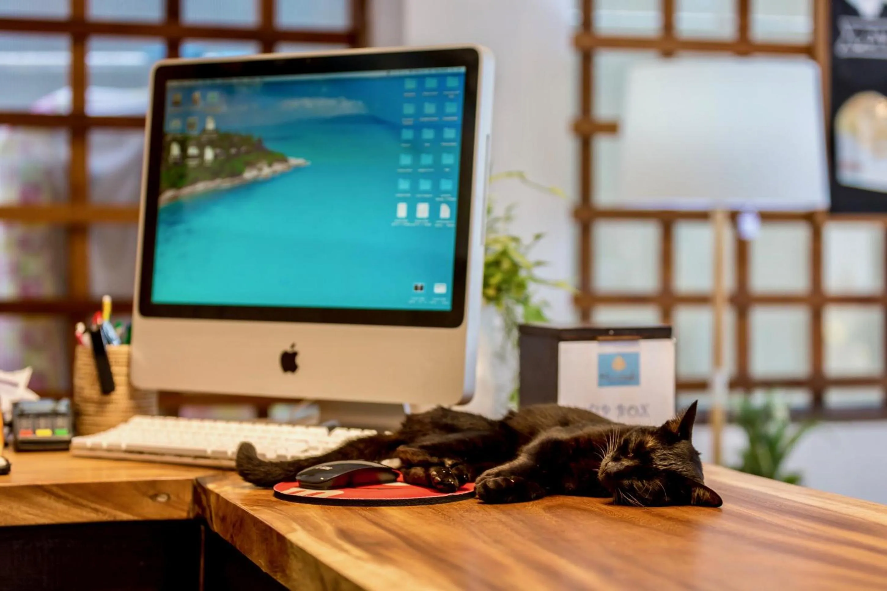 Communal lounge/ TV room in Hacienda Fisherman's Village Koh Samui