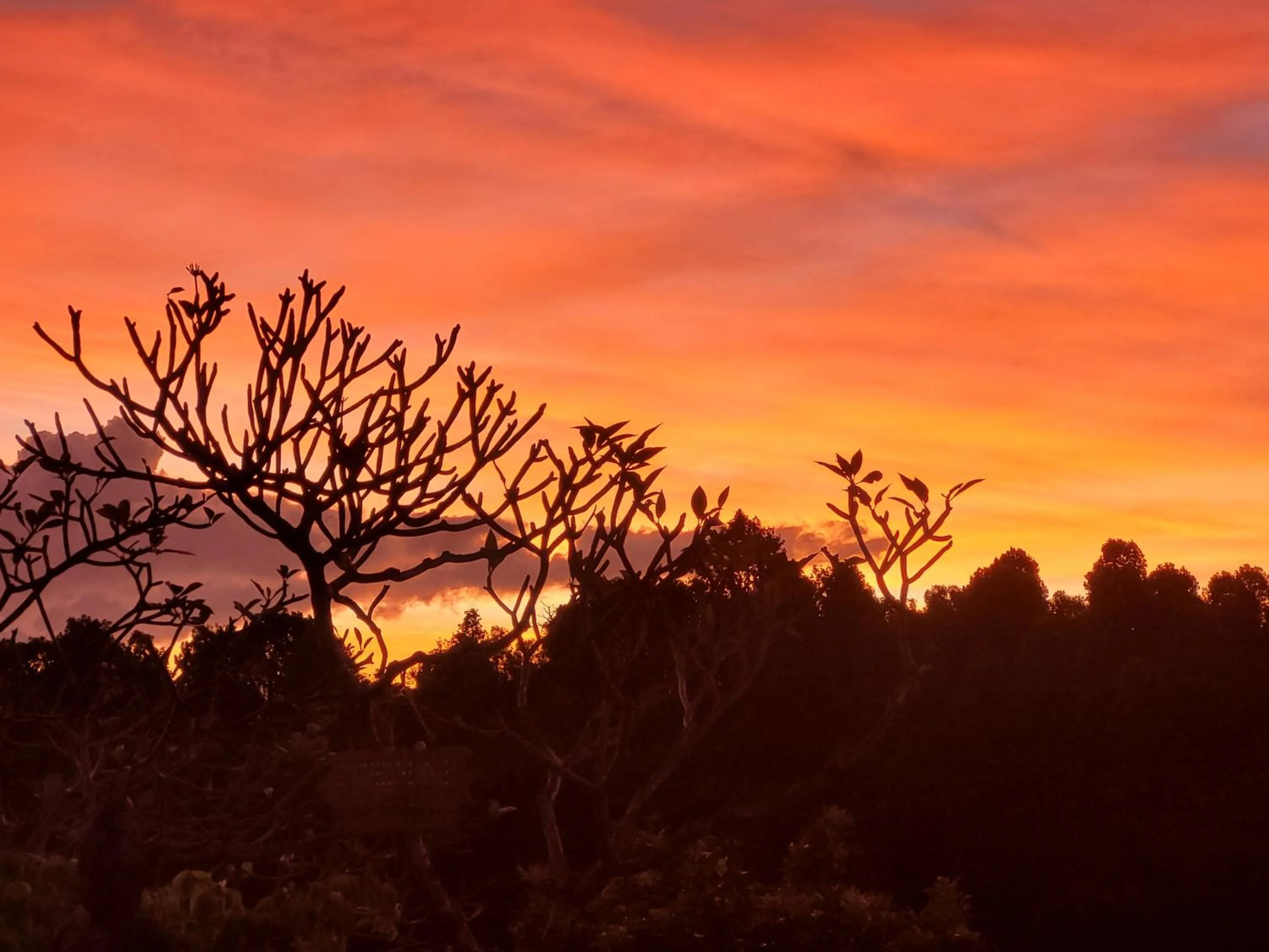 Property building in Shanti Natural Panorama View Hotel