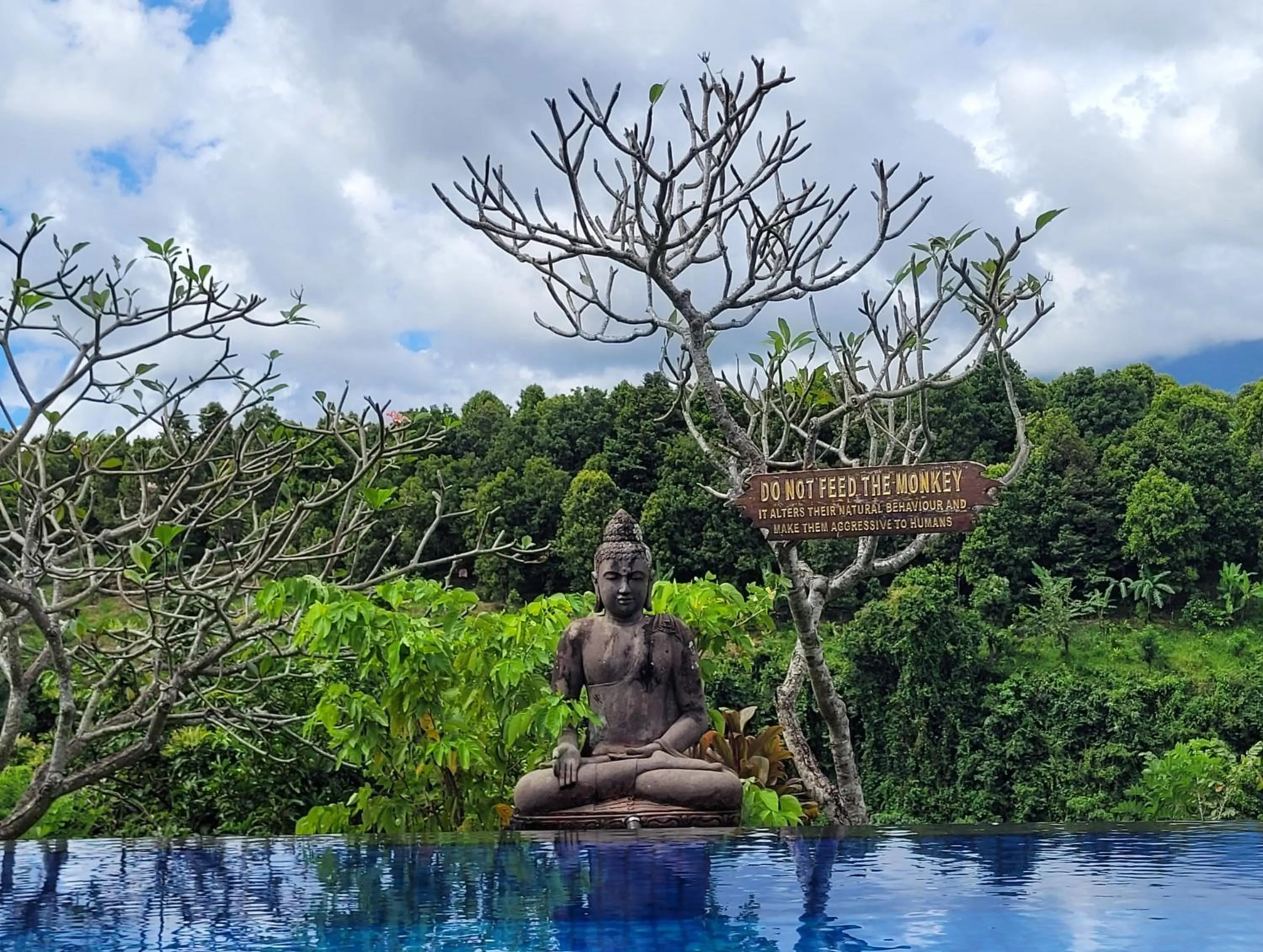 Swimming pool in Shanti Natural Panorama View Hotel