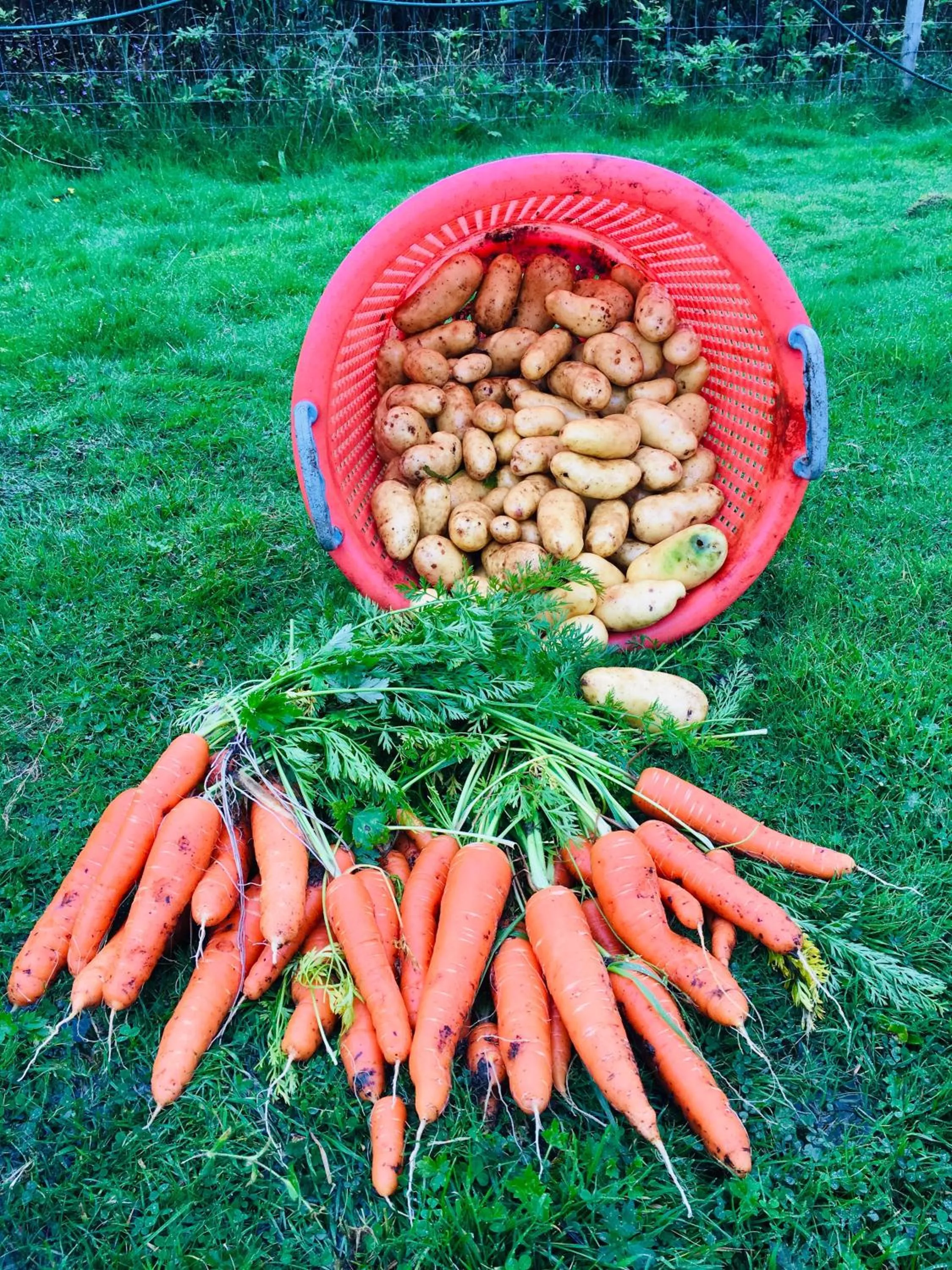 On site in Highland Croft B&B