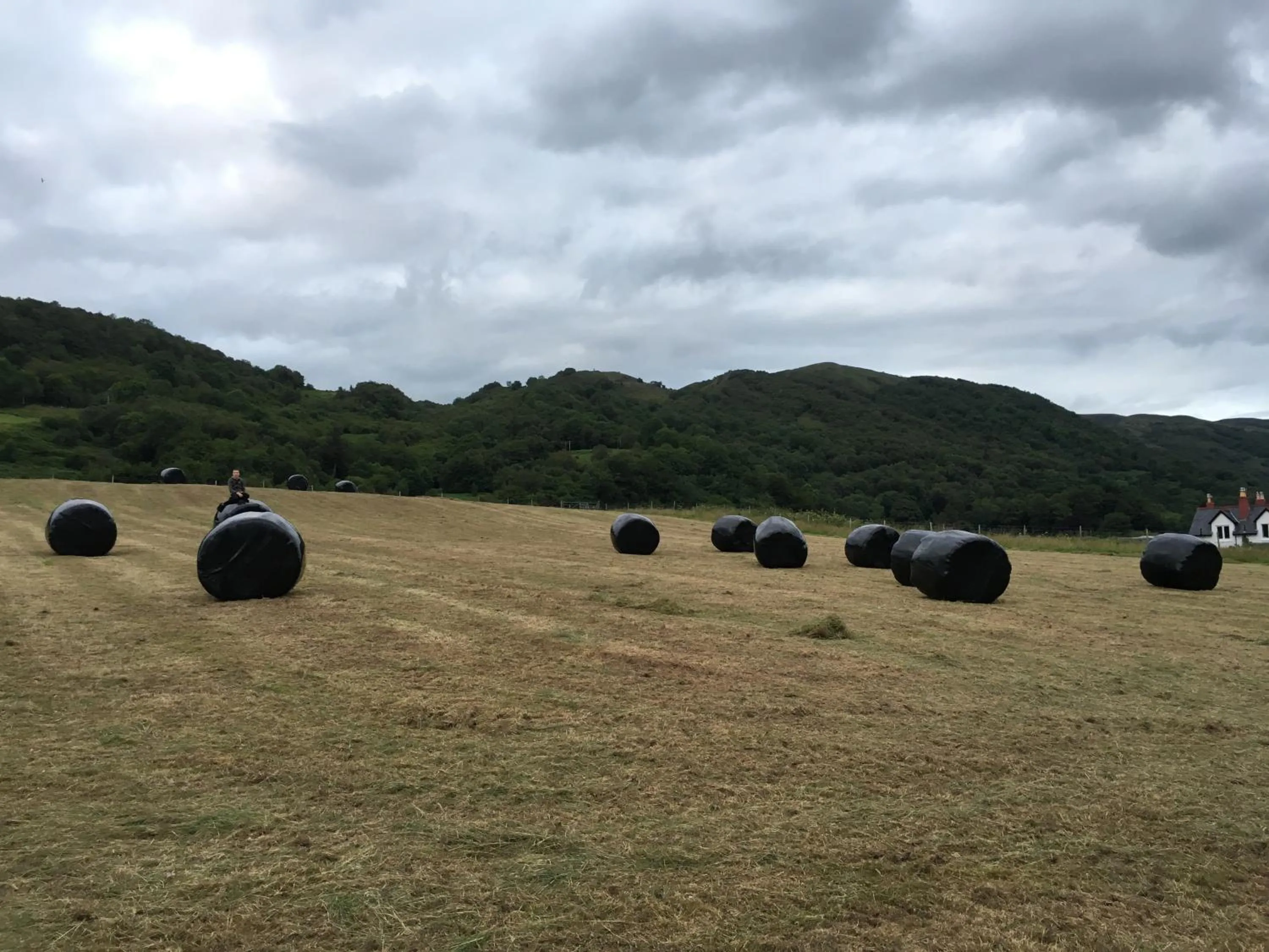 Summer in Highland Croft B&B